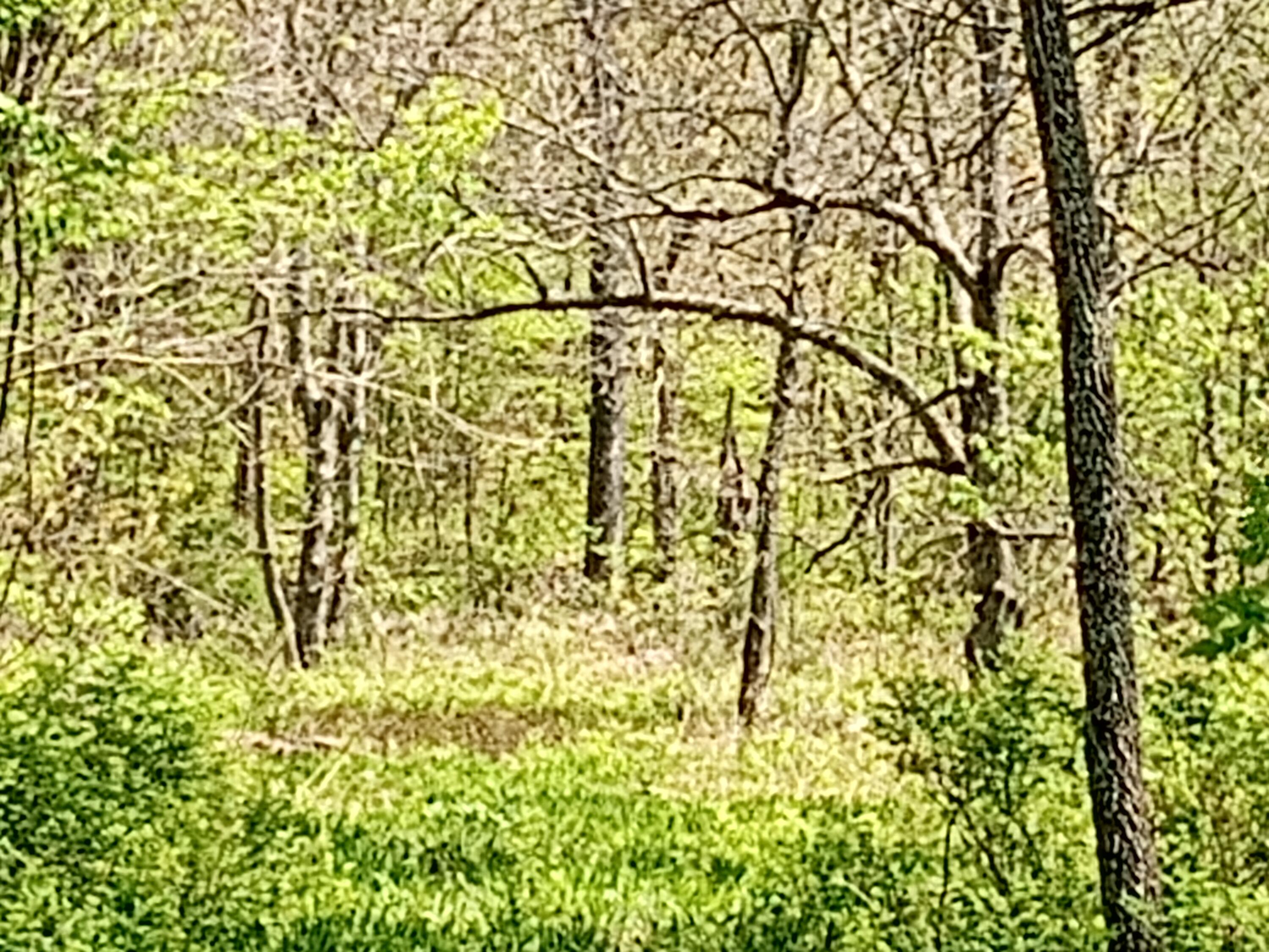 Photo 19 - Land for sale – 000  Timber Circle  Tunas, MO