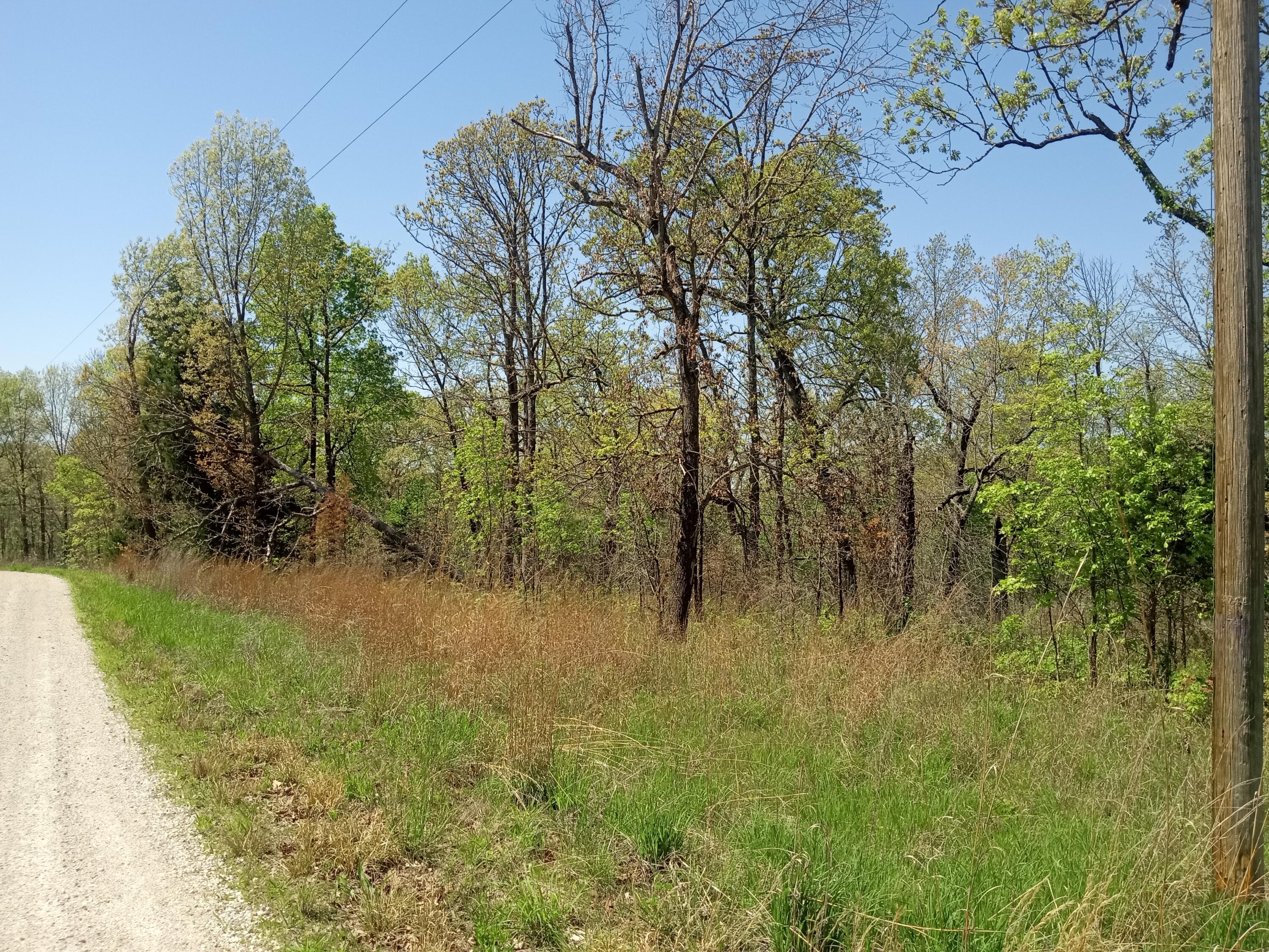 Photo 9 - Land for sale – 000  Timber Circle  Tunas, MO