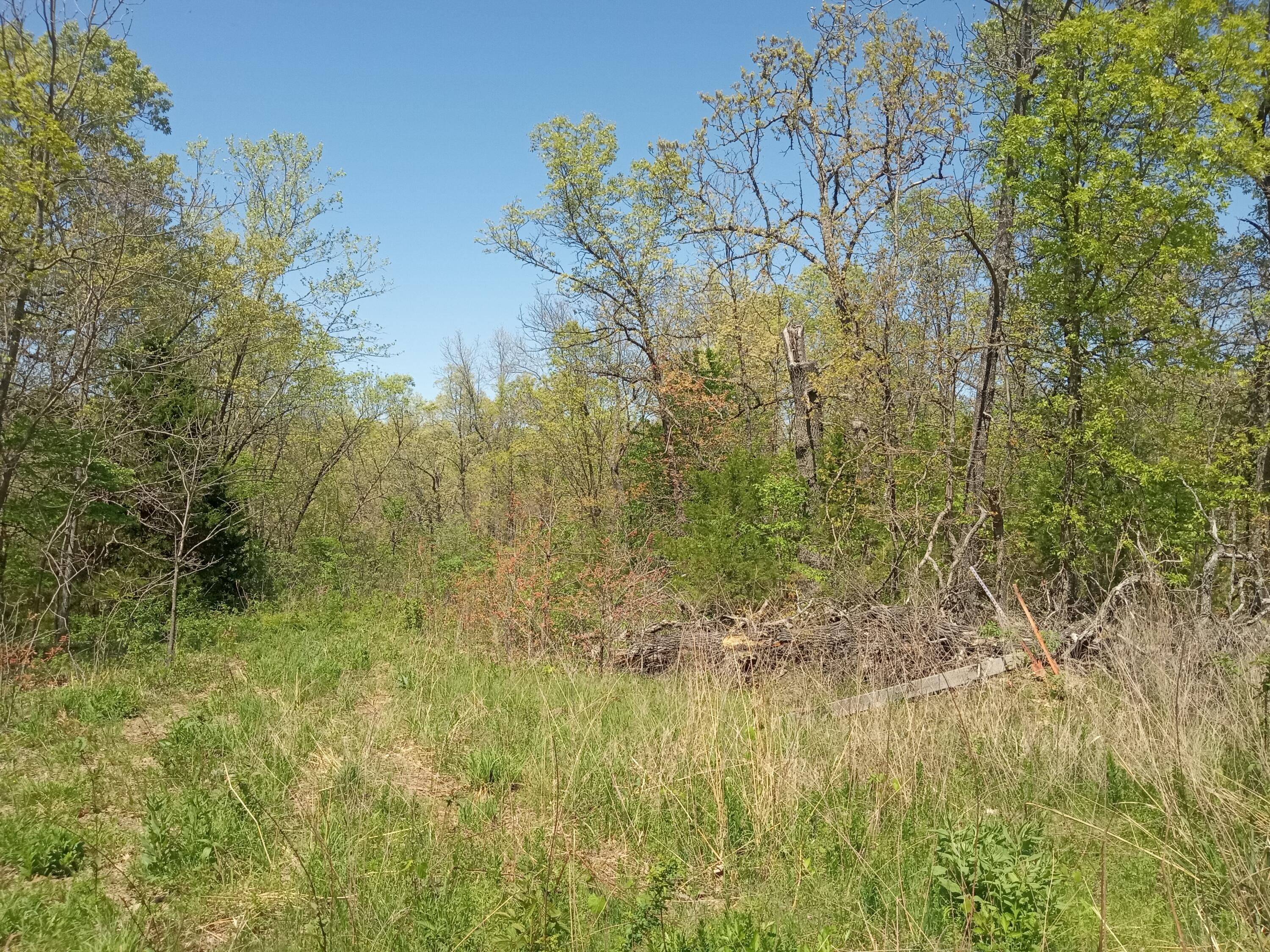 Photo 7 - Land for sale – 000  Timber Circle  Tunas, MO