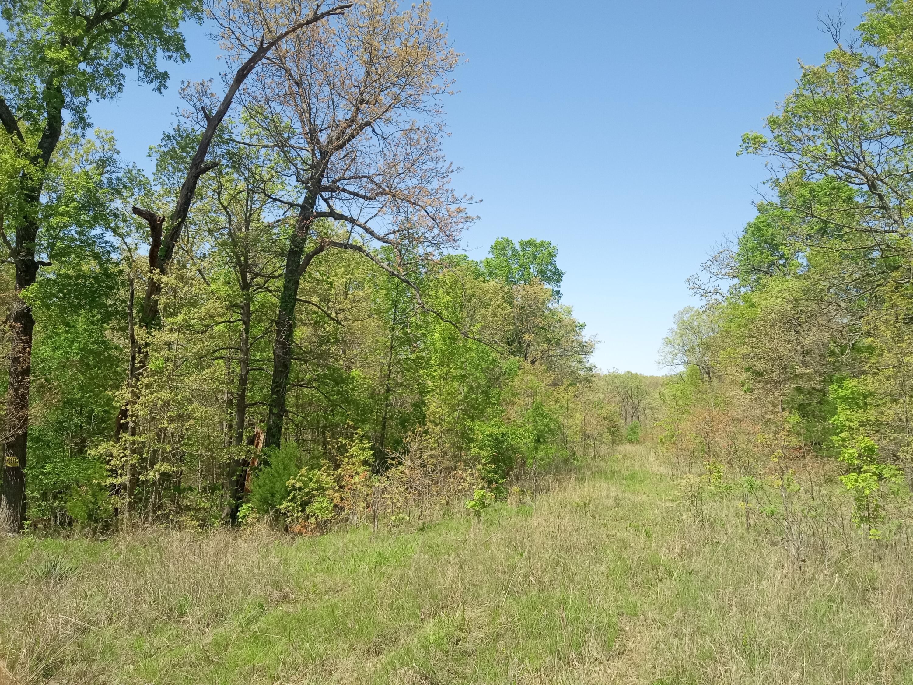 Photo 17 - Land for sale – 000  Timber Circle  Tunas, MO