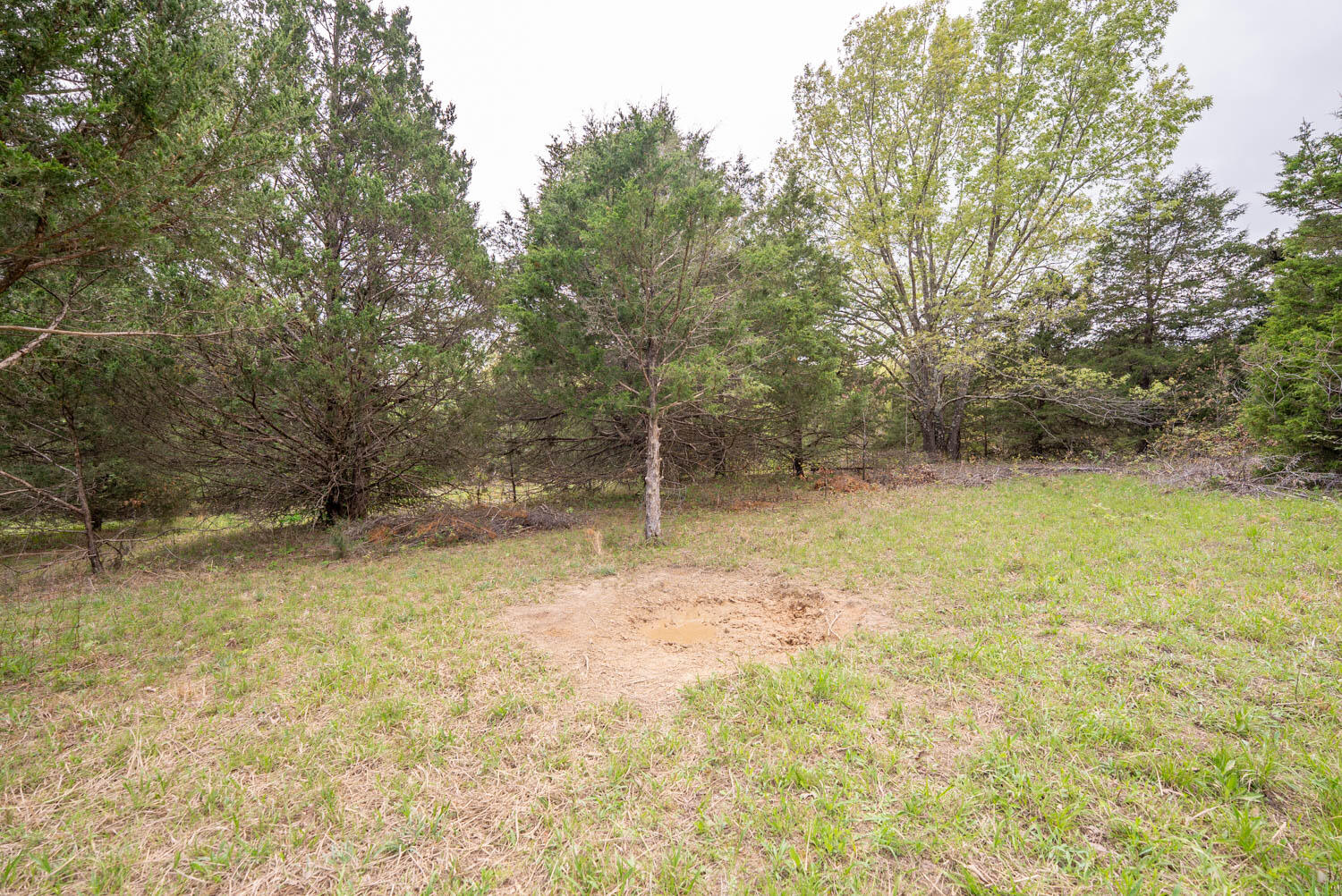Photo 29 - Land for sale – 493  County Road 151   Alton, MO