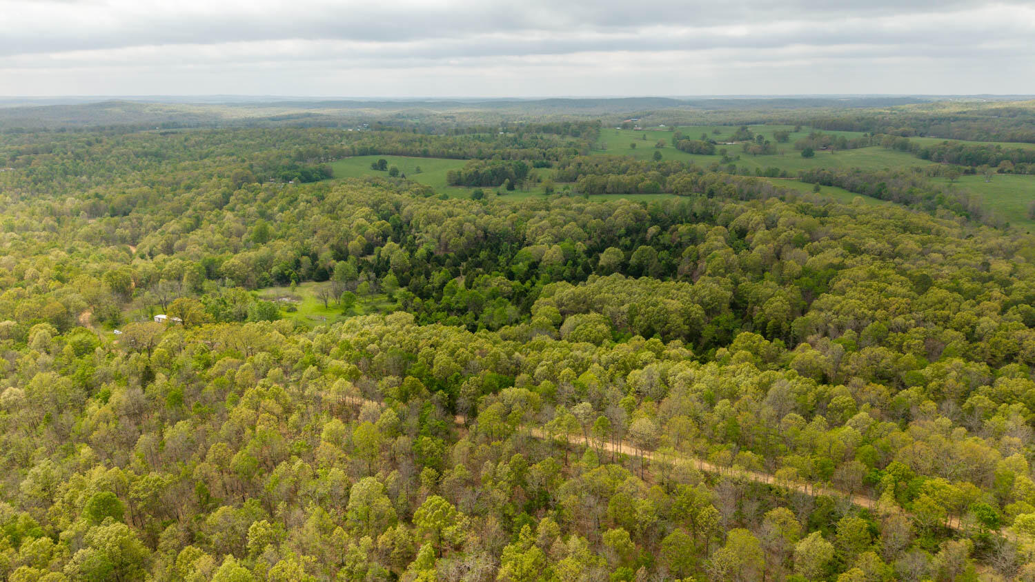 Photo 5 - Land for sale – 493  County Road 151   Alton, MO
