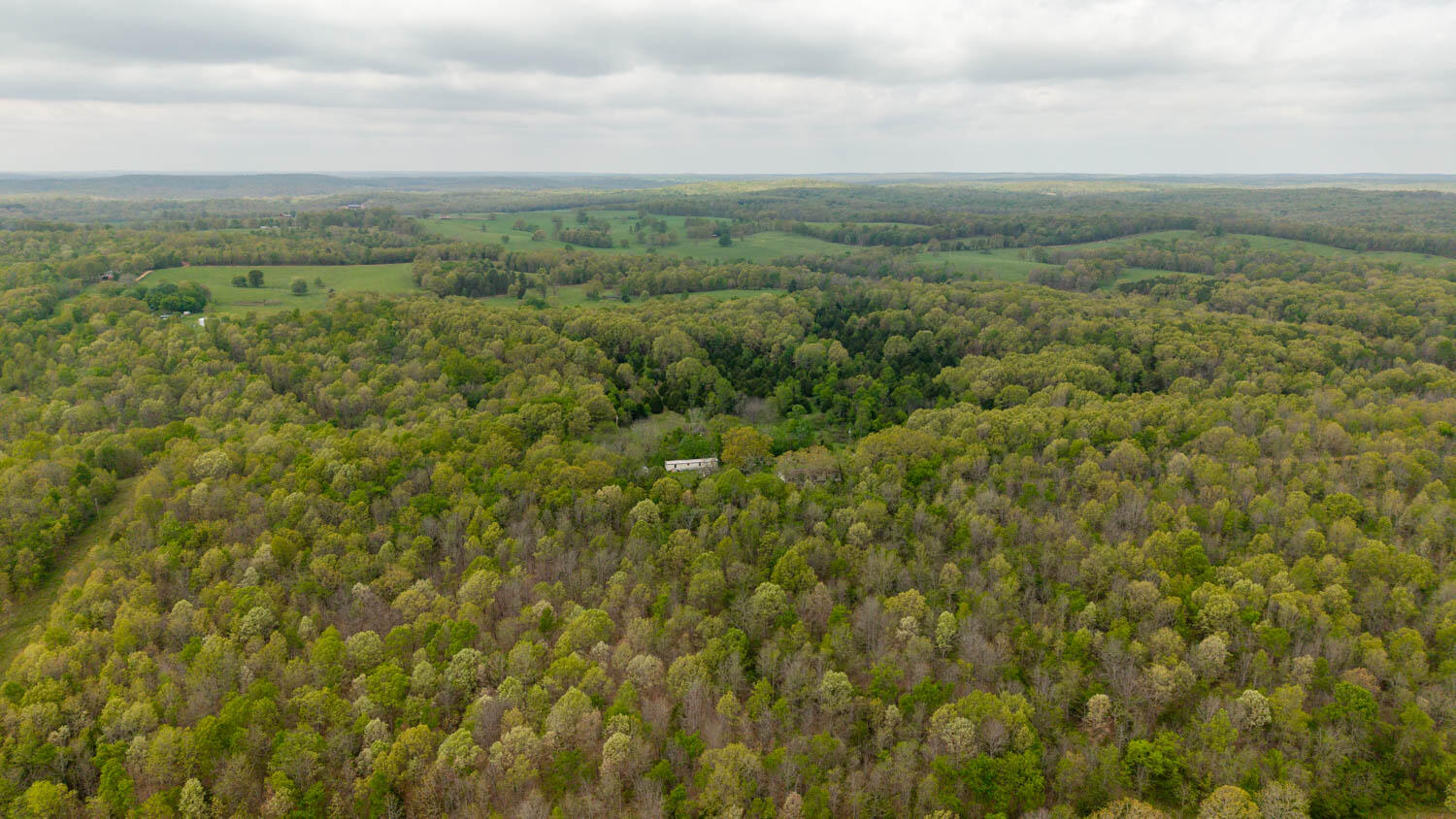 Photo 3 - Land for sale – 493  County Road 151   Alton, MO