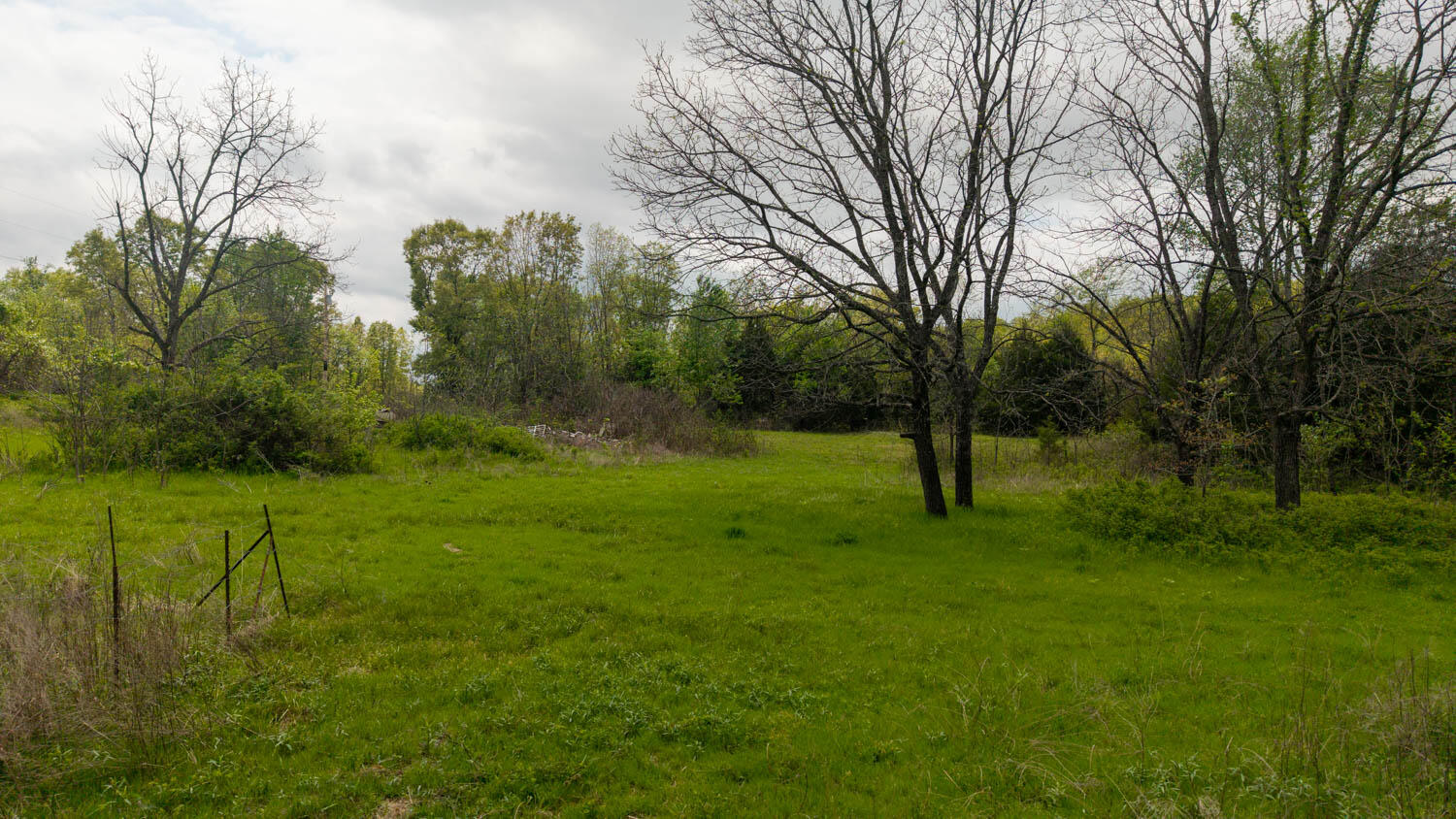 Photo 13 - Land for sale – 493  County Road 151   Alton, MO
