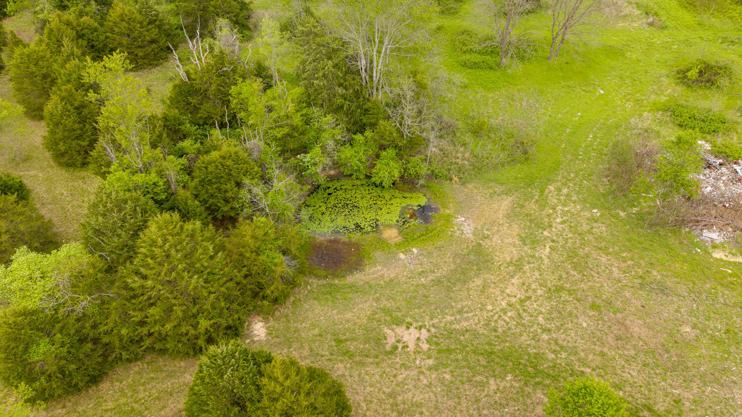 Photo 18 - Land for sale – 493  County Road 151   Alton, MO