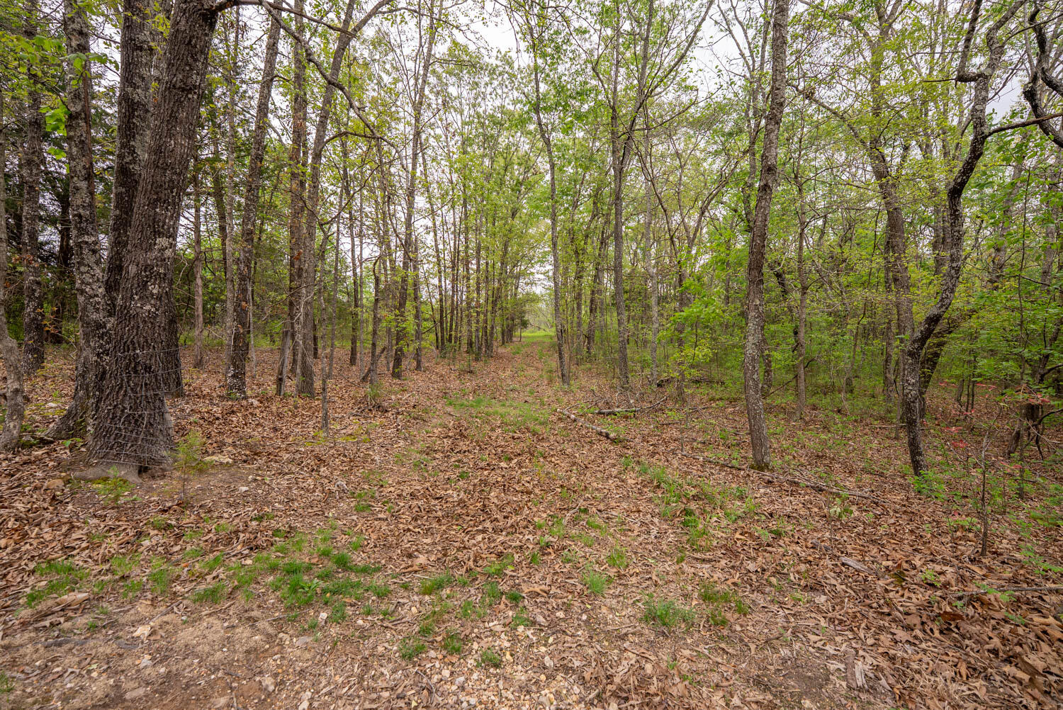 Photo 33 - Land for sale – 493  County Road 151   Alton, MO
