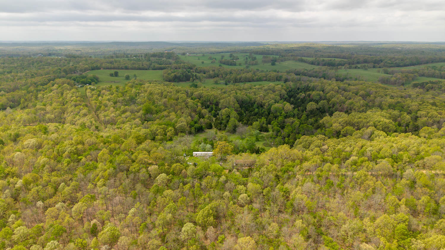 Photo 4 - Land for sale – 493  County Road 151   Alton, MO