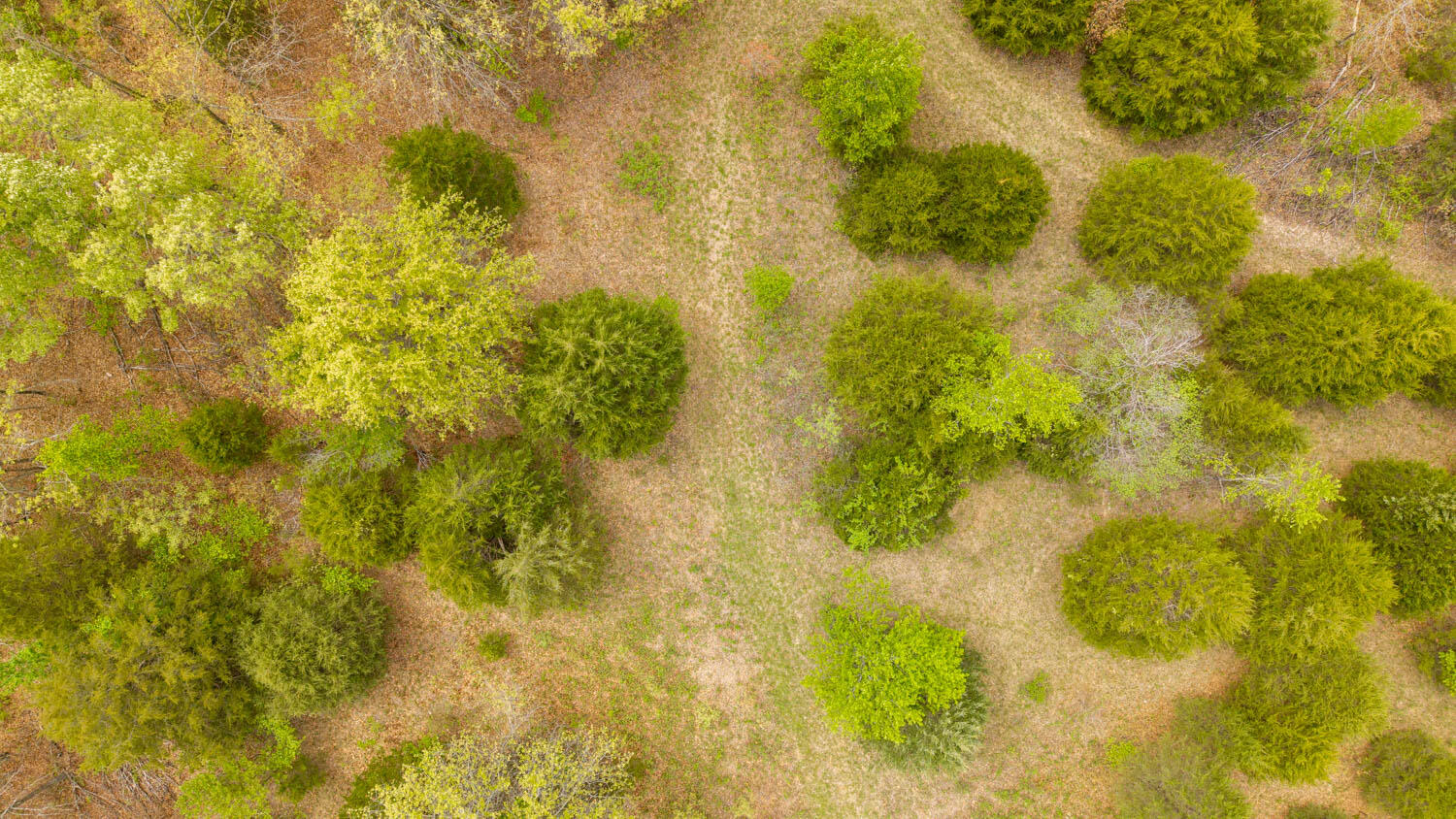 Photo 7 - Land for sale – 493  County Road 151   Alton, MO