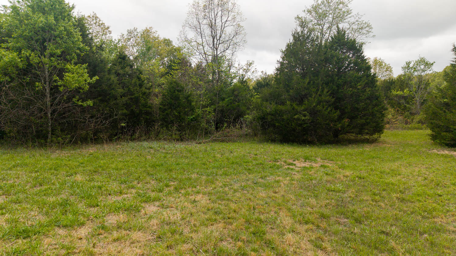 Photo 15 - Land for sale – 493  County Road 151   Alton, MO