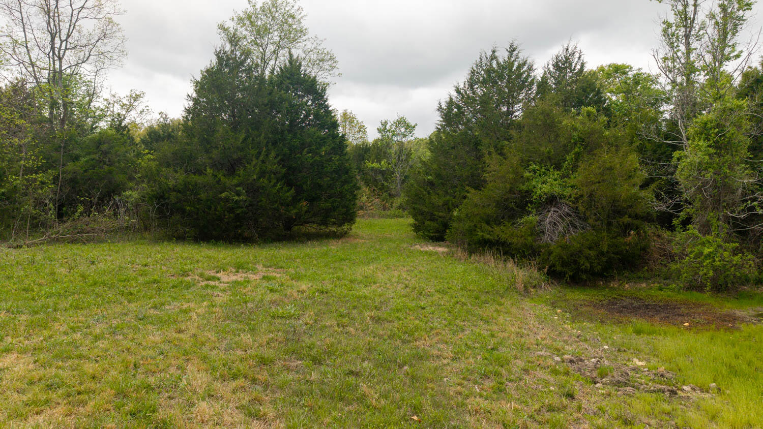 Photo 16 - Land for sale – 493  County Road 151   Alton, MO