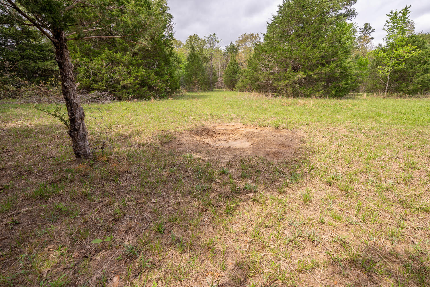 Photo 26 - Land for sale – 493  County Road 151   Alton, MO