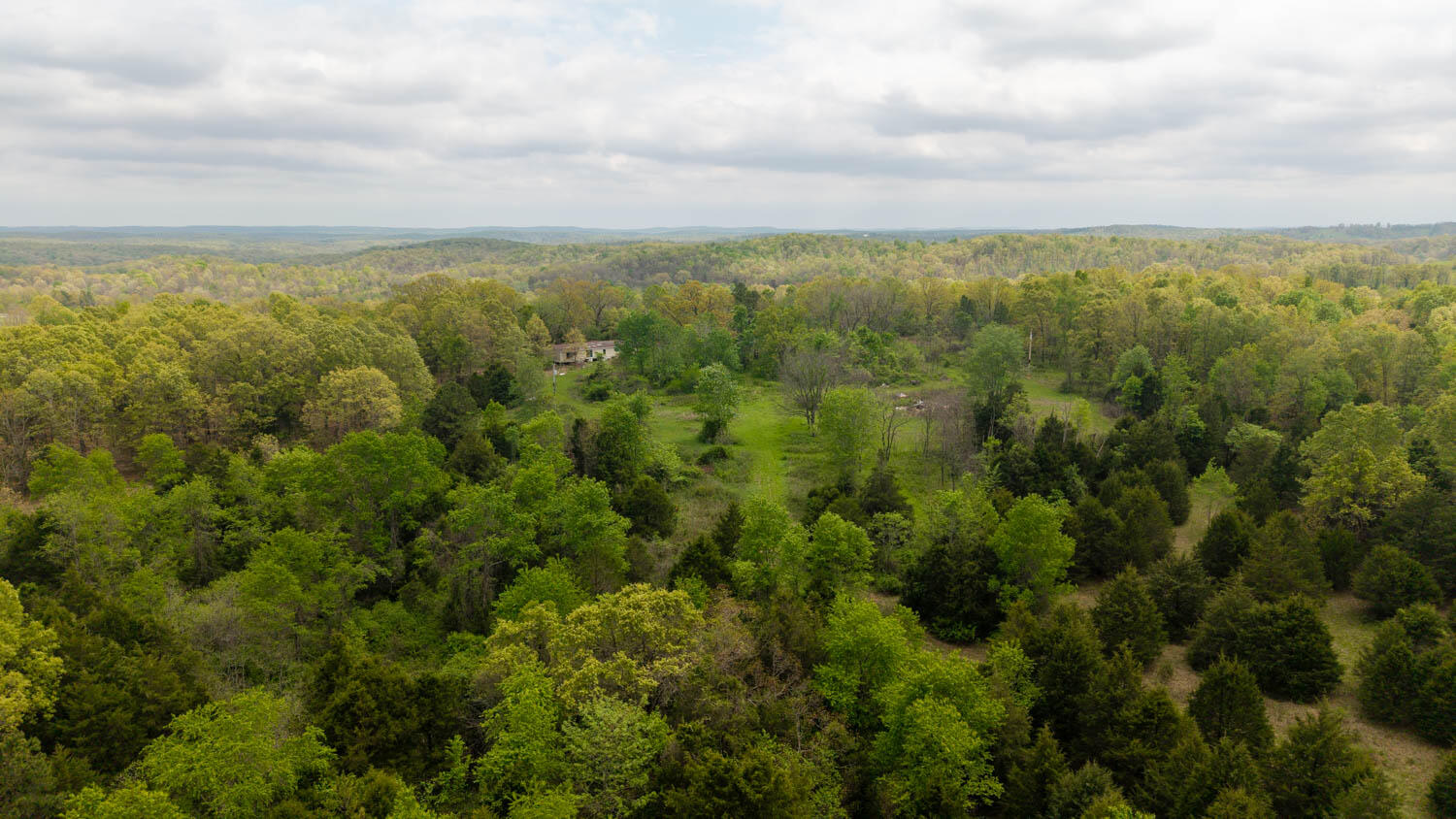 Photo 6 - Land for sale – 493  County Road 151   Alton, MO