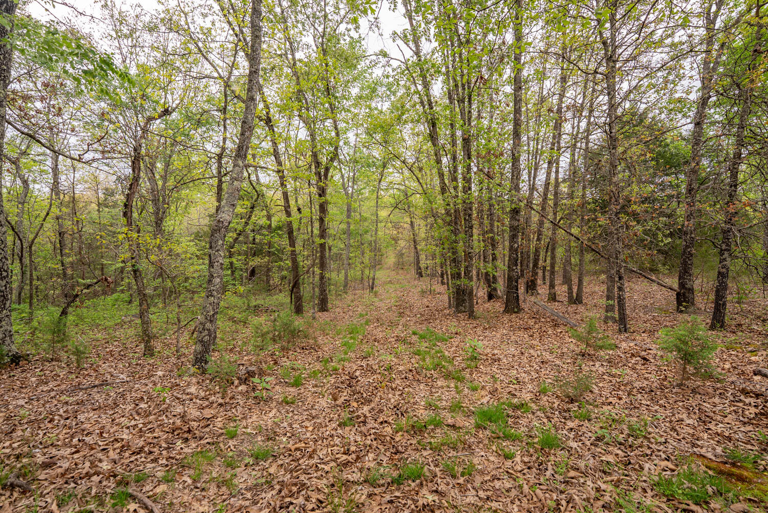 Photo 34 - Land for sale – 493  County Road 151   Alton, MO