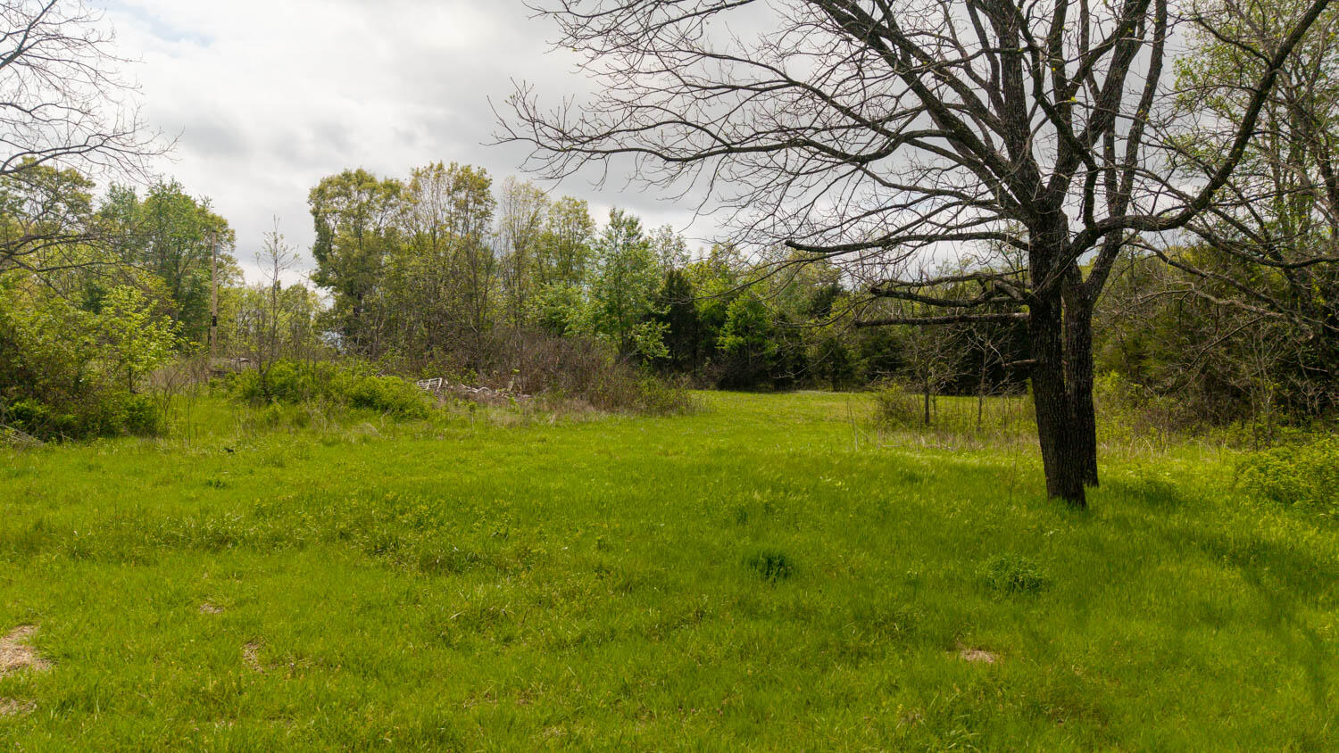 Photo 14 - Land for sale – 493  County Road 151   Alton, MO