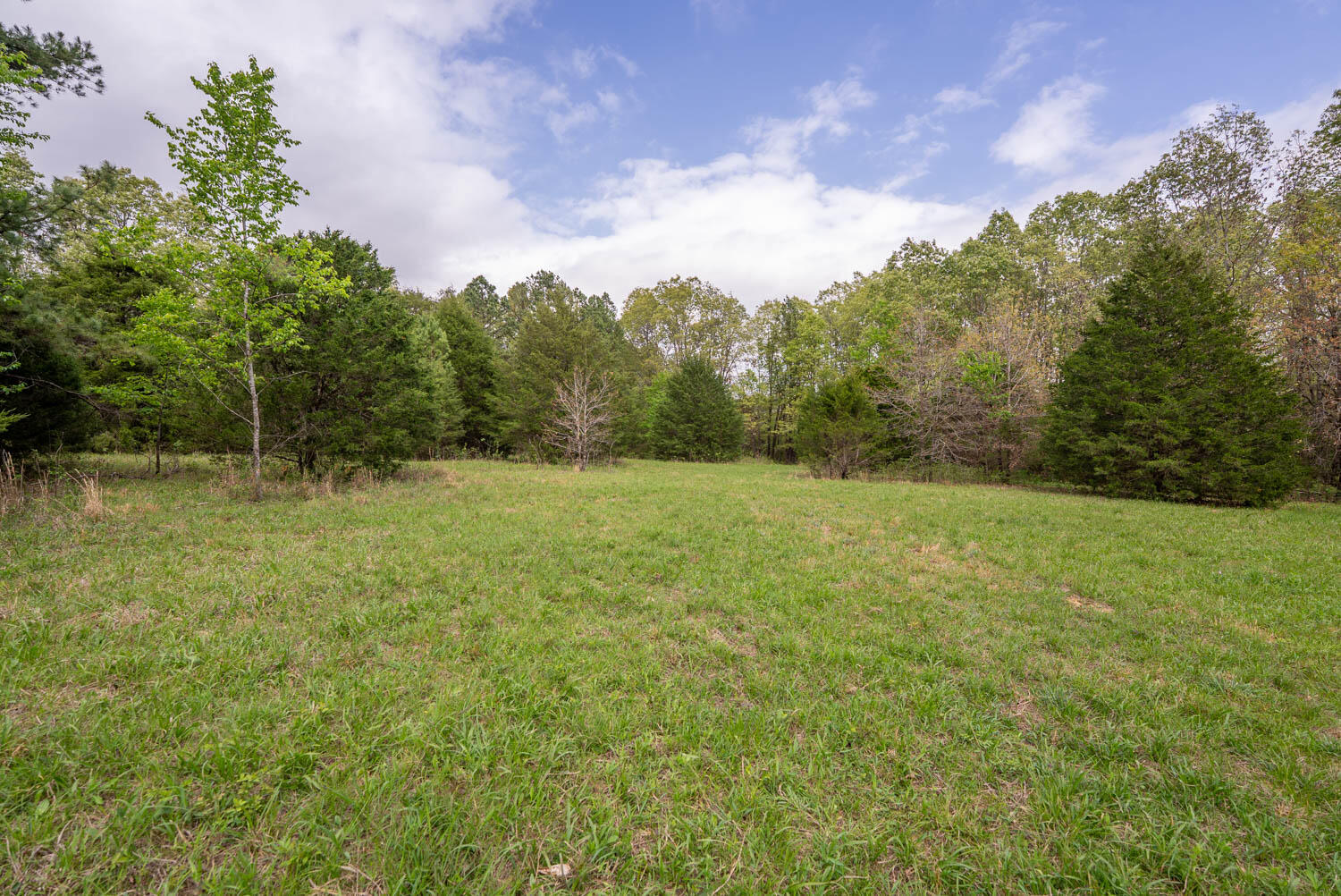 Photo 27 - Land for sale – 493  County Road 151   Alton, MO