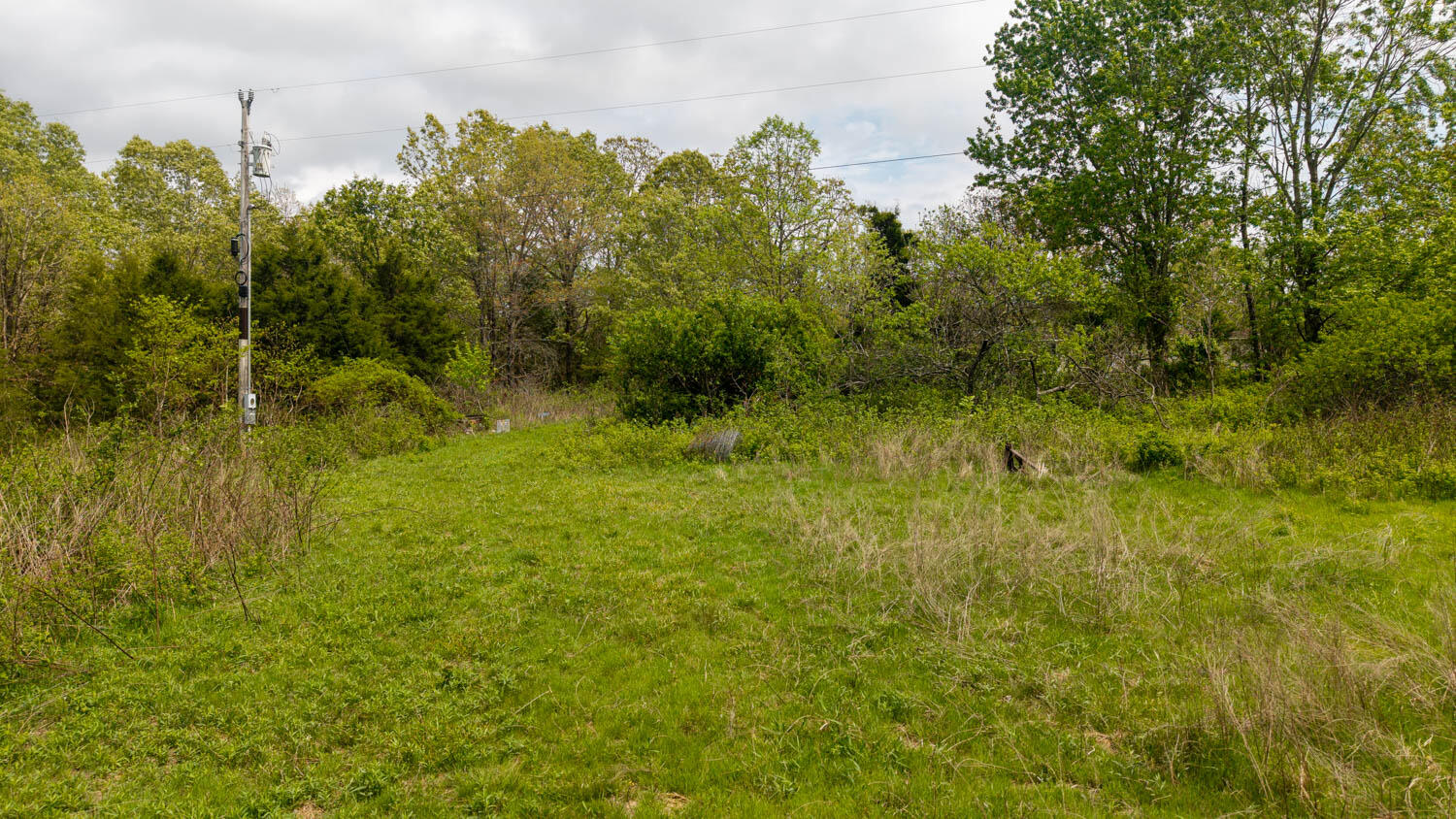 Photo 11 - Land for sale – 493  County Road 151   Alton, MO