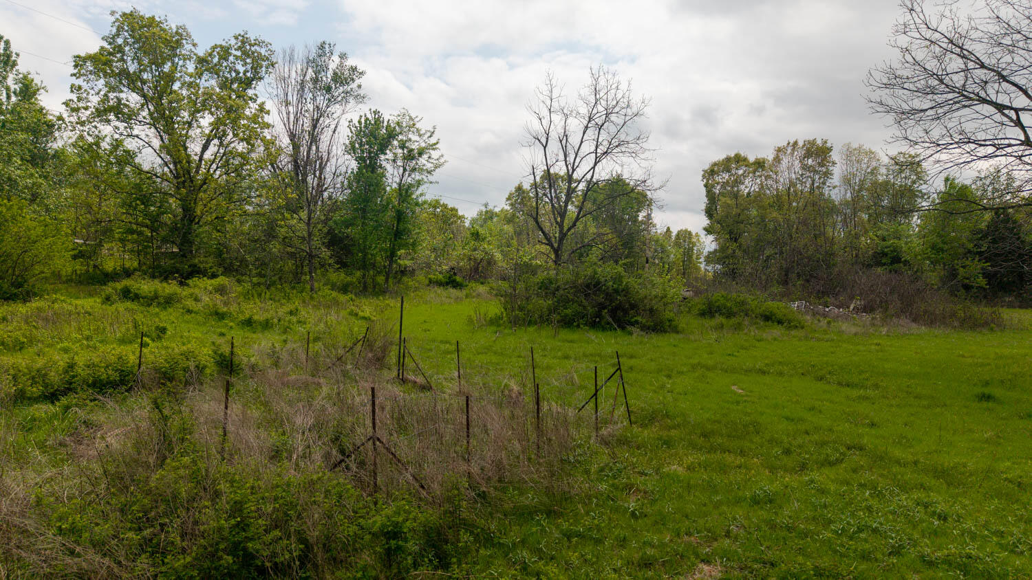 Photo 12 - Land for sale – 493  County Road 151   Alton, MO