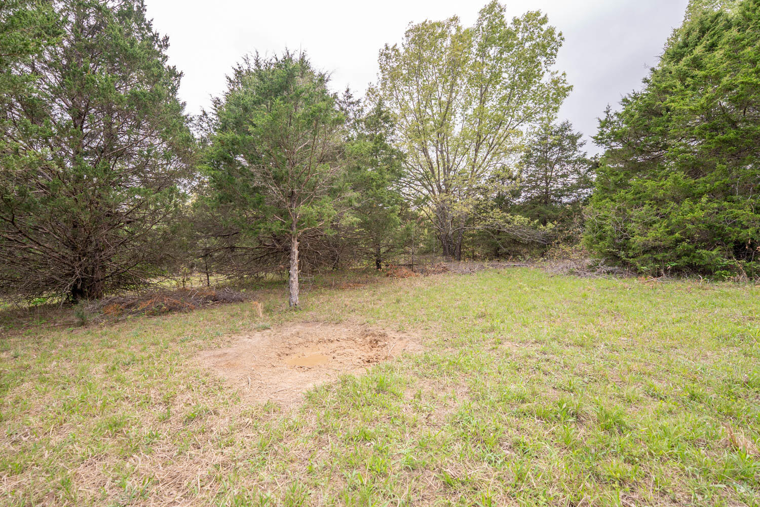 Photo 28 - Land for sale – 493  County Road 151   Alton, MO