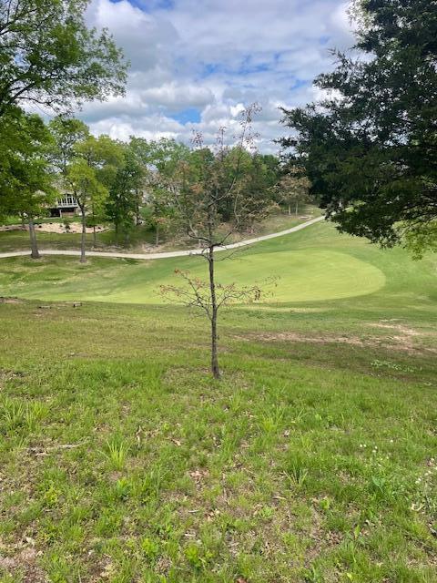 Photo 3 - Land for sale – 1311  Stoneycreek Lane  Branson West, MO