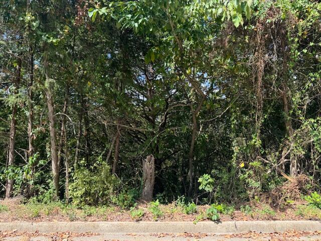 Photo 2 - Land for sale – Lot 22  Rose Oneill Drive  Branson, MO