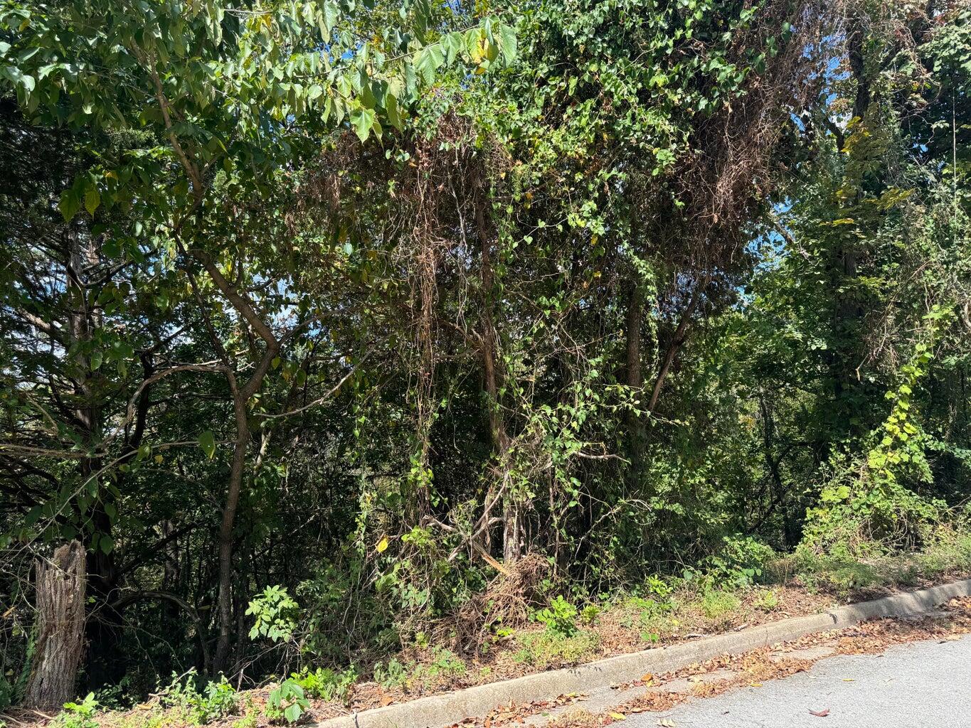 Land for sale – Lot 22  Rose Oneill Drive  Branson, MO