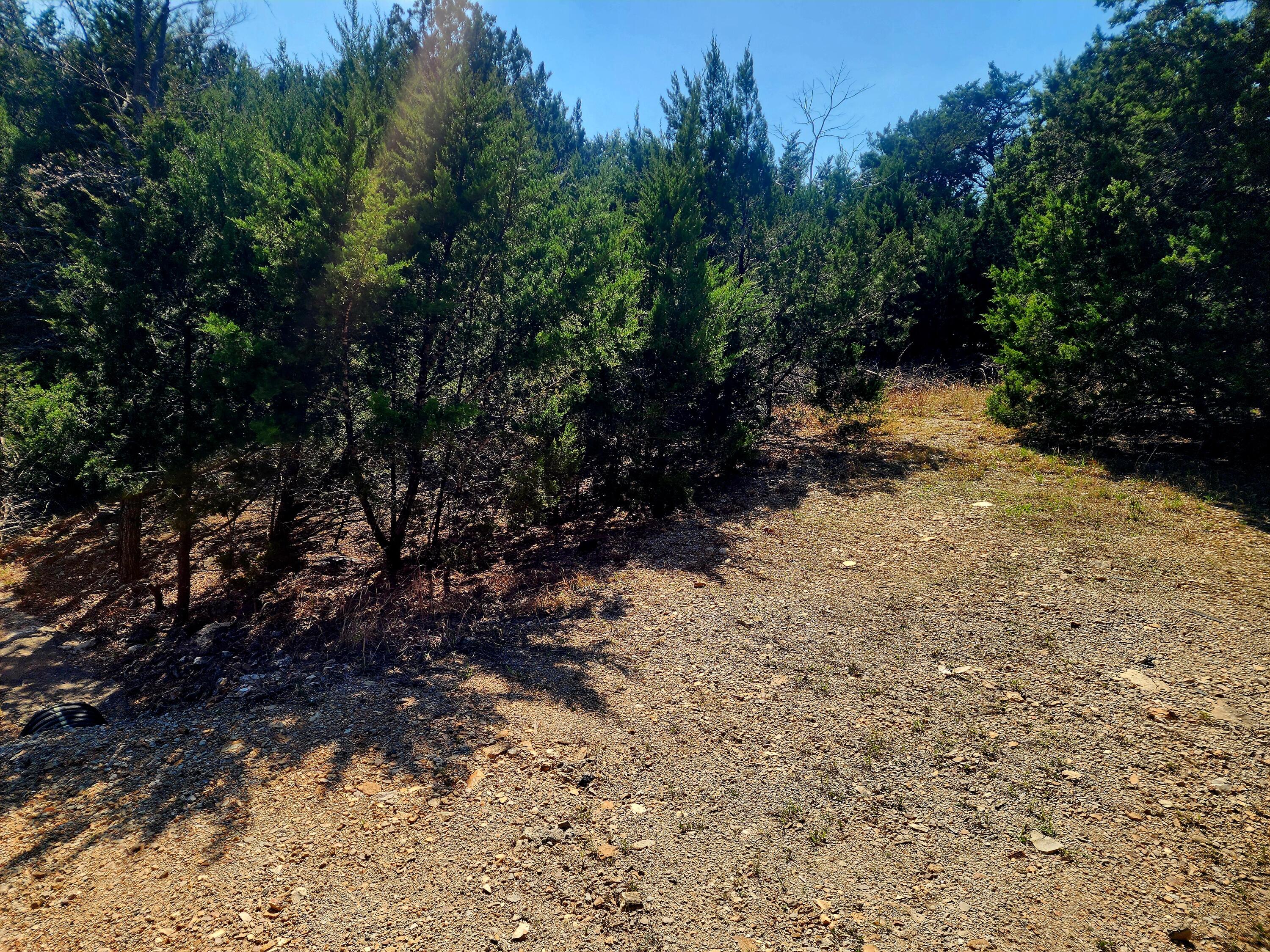 Land for sale – 76  Cedar Drive  Blue Eye, MO