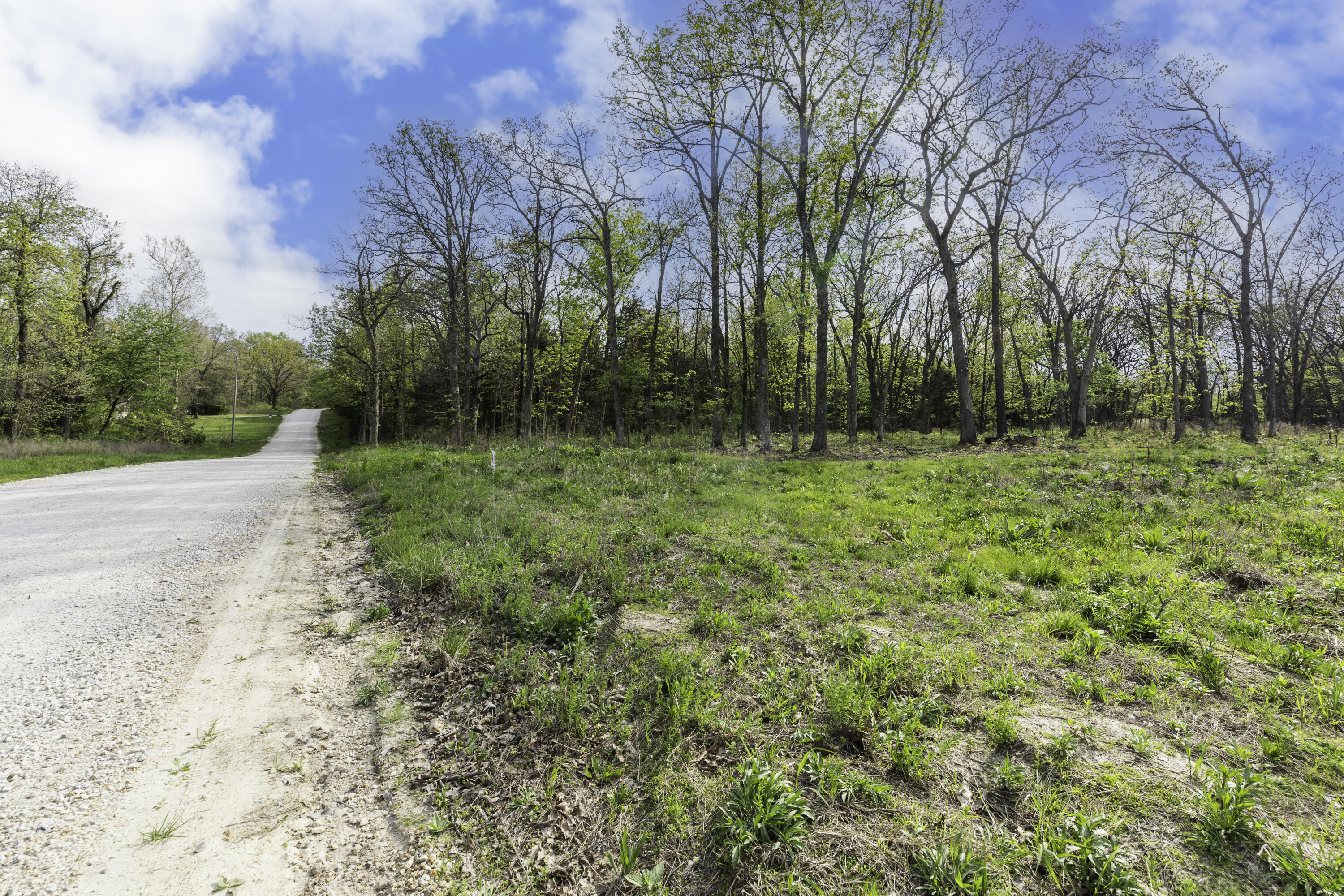 Photo 8 - Land for sale – 000  County Road 238   Wheatland, MO