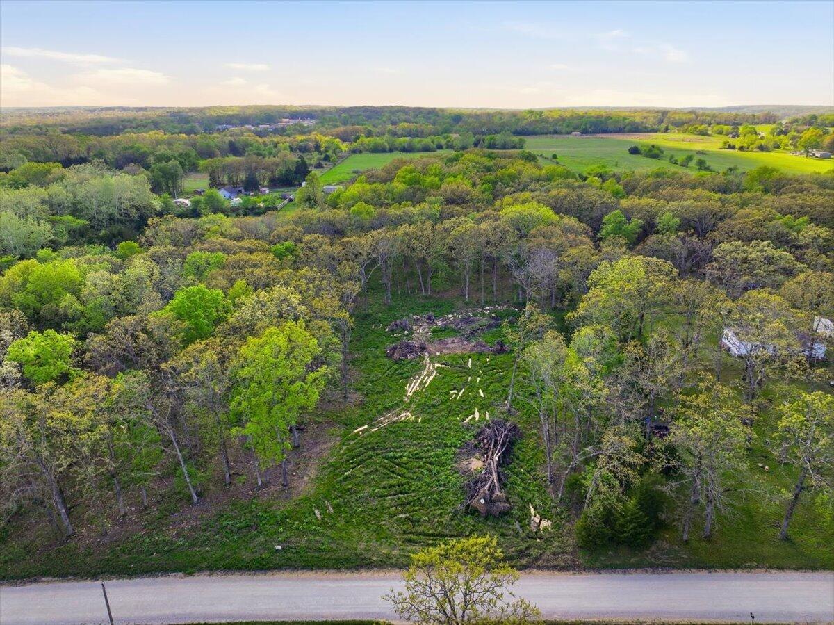Photo 3 - Land for sale – 000  County Road 238   Wheatland, MO