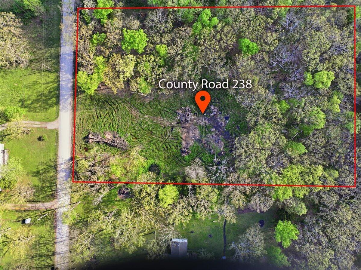 Photo 4 - Land for sale – 000  County Road 238   Wheatland, MO