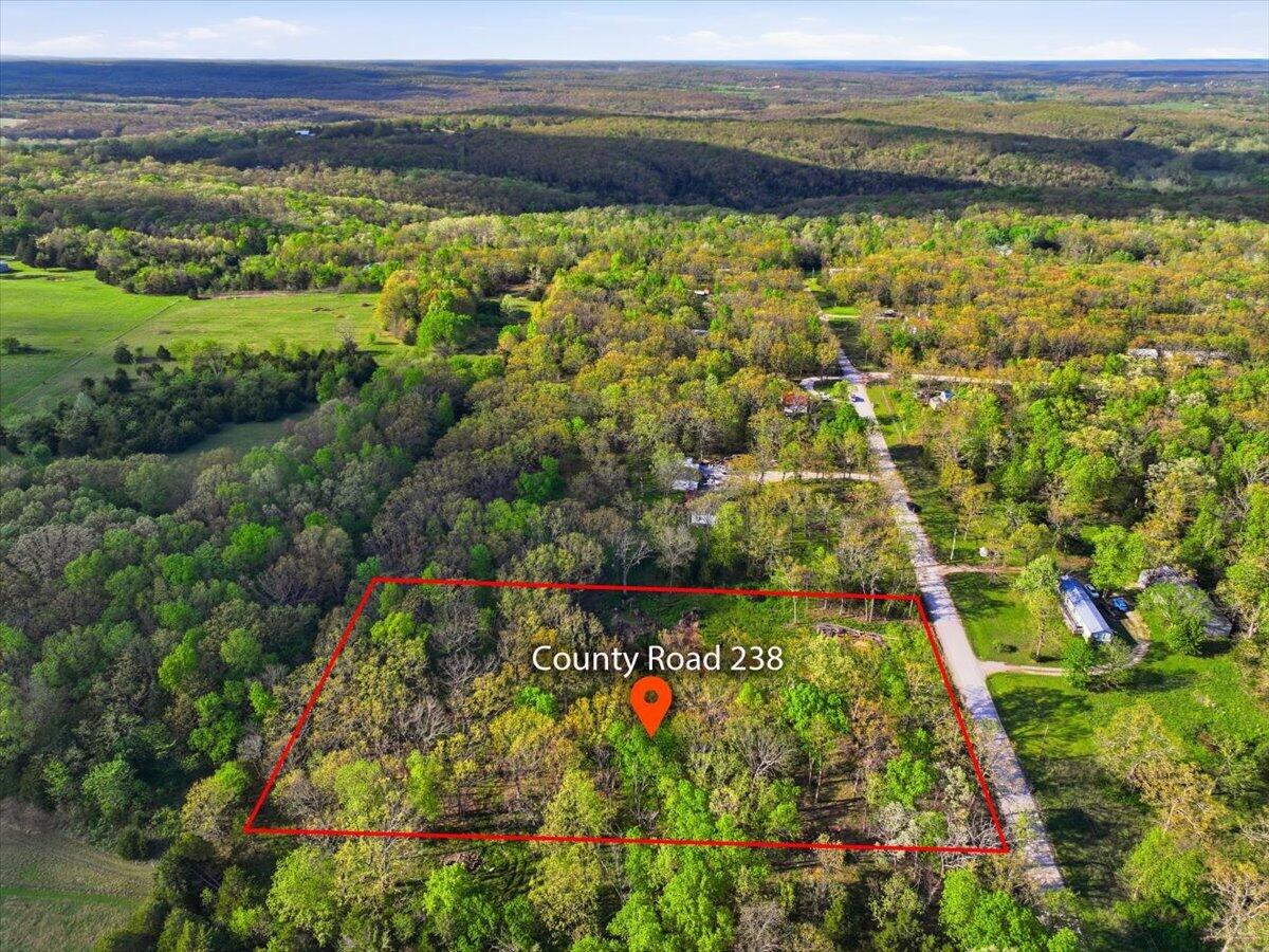 Photo 5 - Land for sale – 000  County Road 238   Wheatland, MO