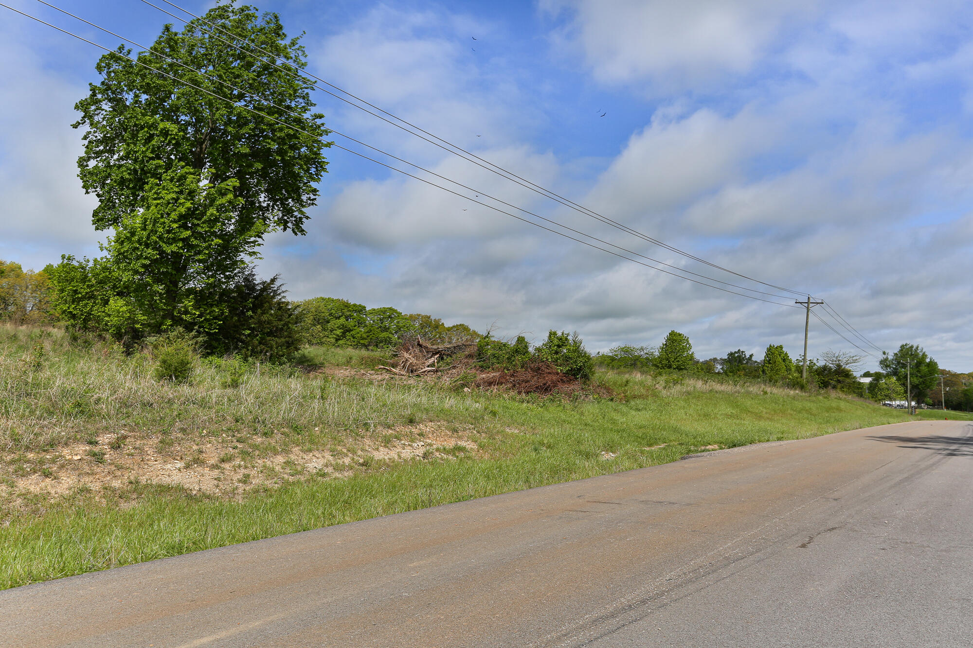 Photo 9 - Land for sale – 000 N Buffalo Street  Marshfield, MO