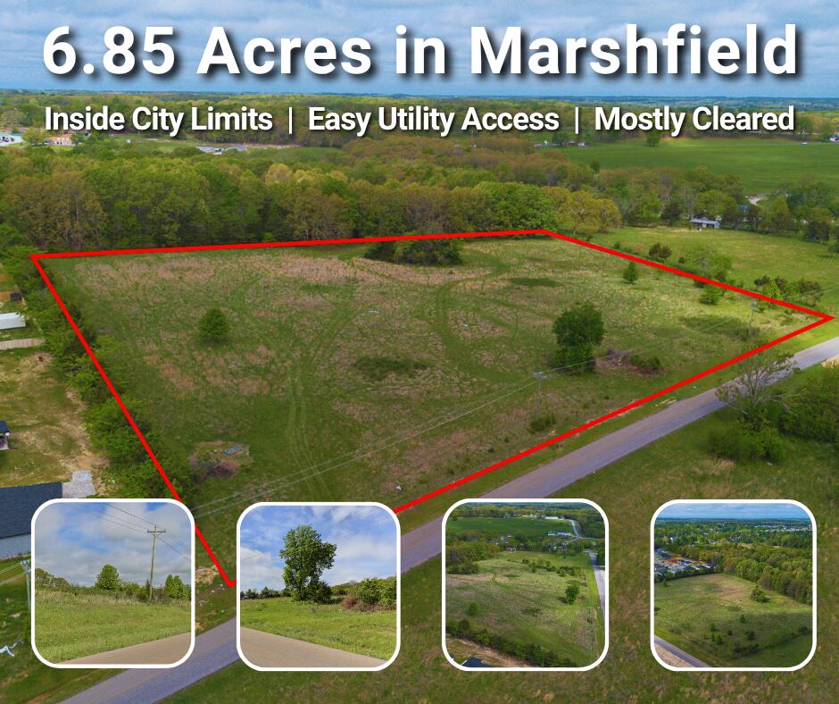 Photo 2 - Land for sale – 000 N Buffalo Street  Marshfield, MO