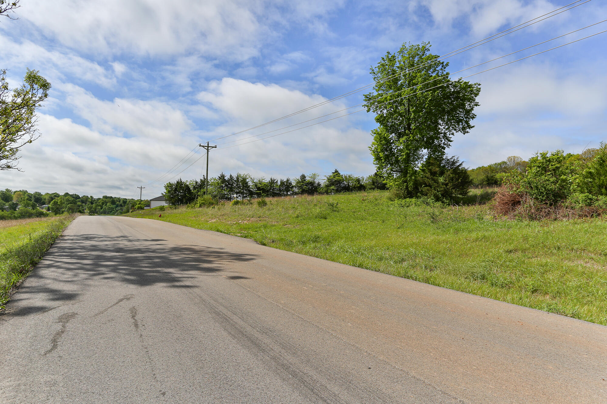 Photo 6 - Land for sale – 000 N Buffalo Street  Marshfield, MO
