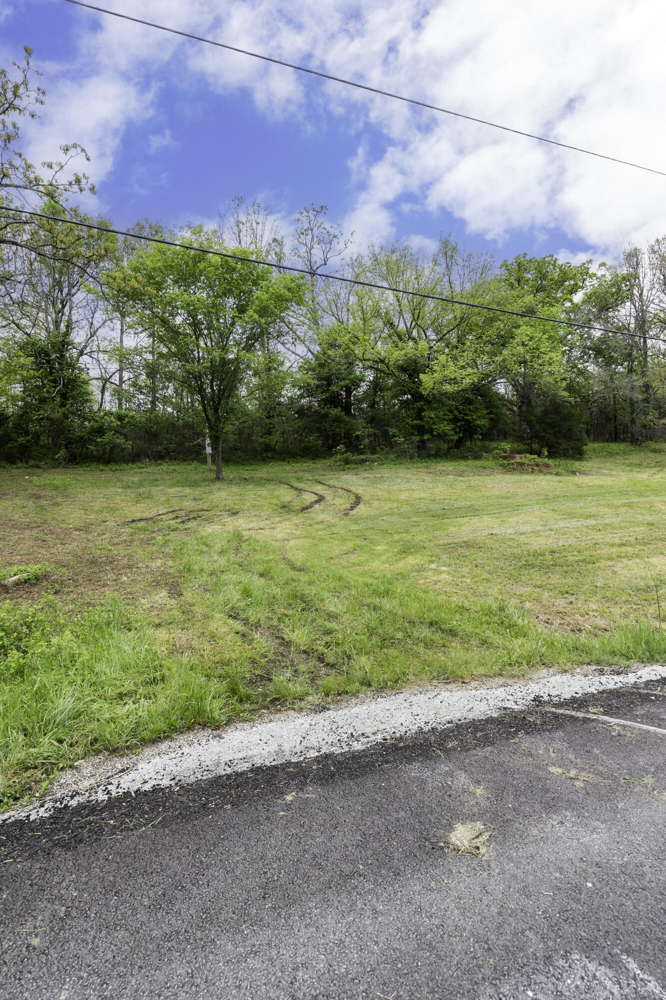 Photo 5 - Land for sale – 217  Woodland   Buffalo, MO