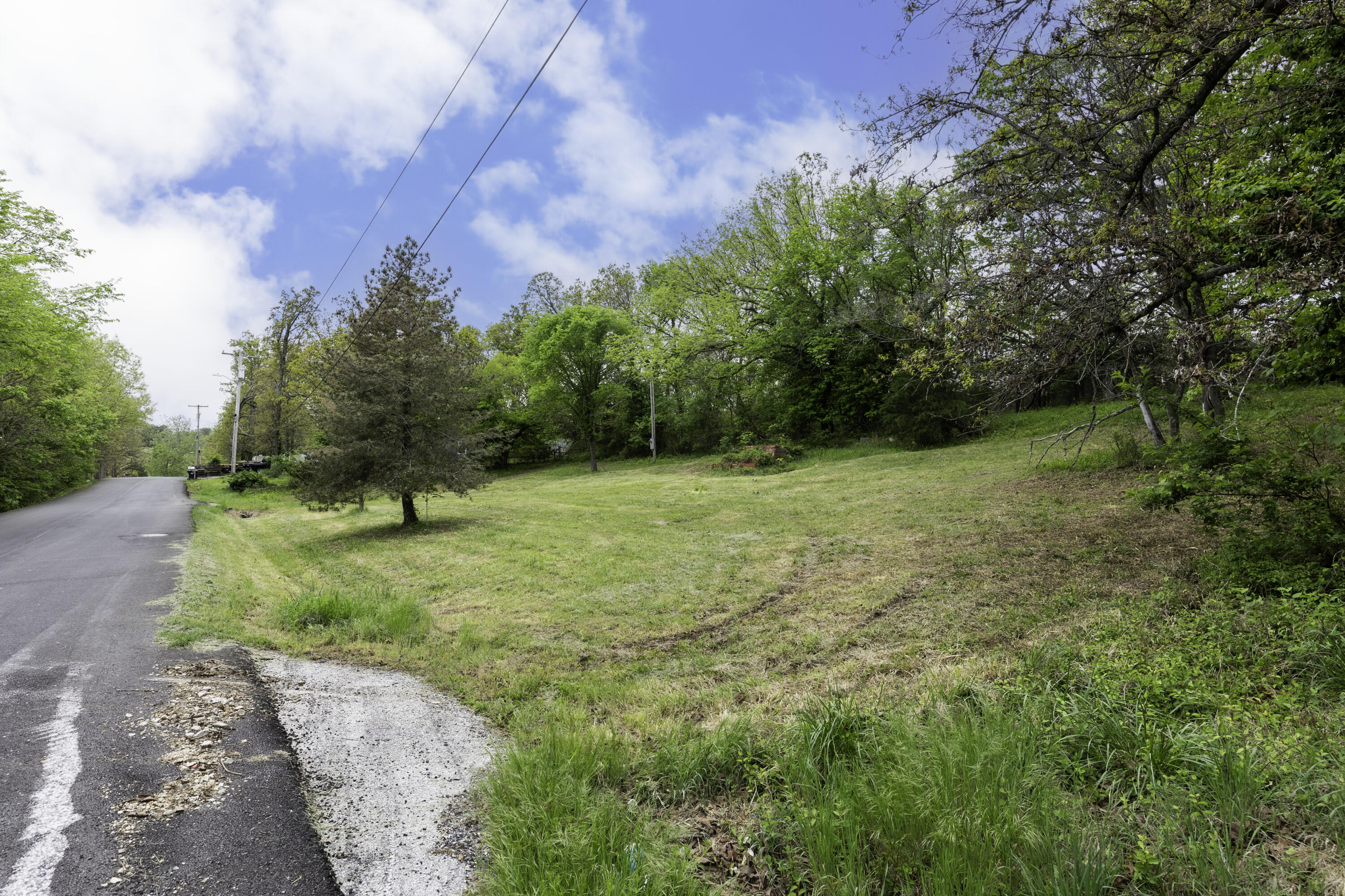 Photo 2 - Land for sale – 217  Woodland   Buffalo, MO