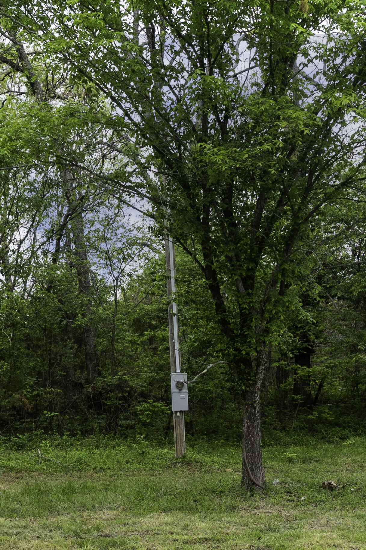 Photo 6 - Land for sale – 217  Woodland   Buffalo, MO