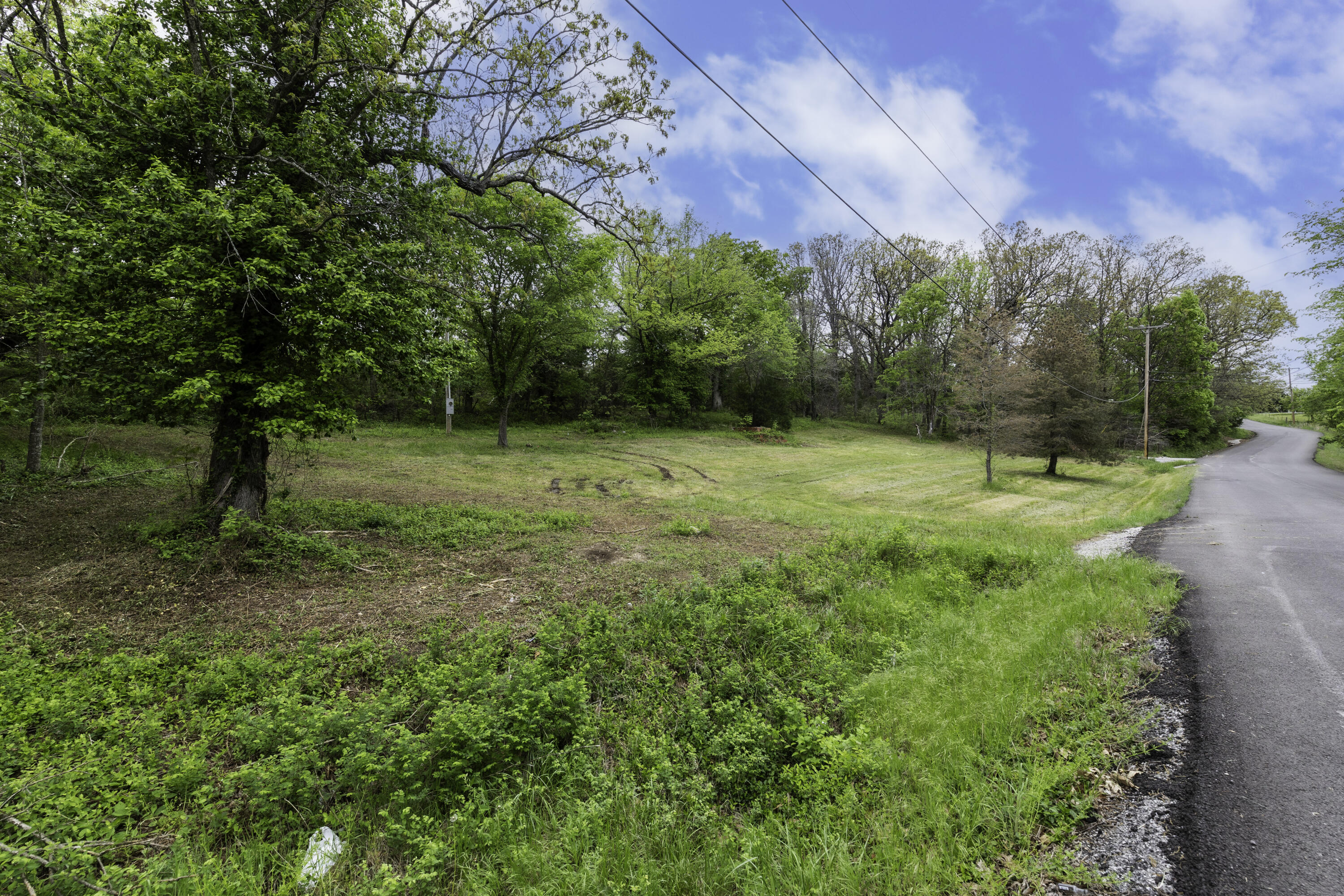 Photo 3 - Land for sale – 217  Woodland   Buffalo, MO