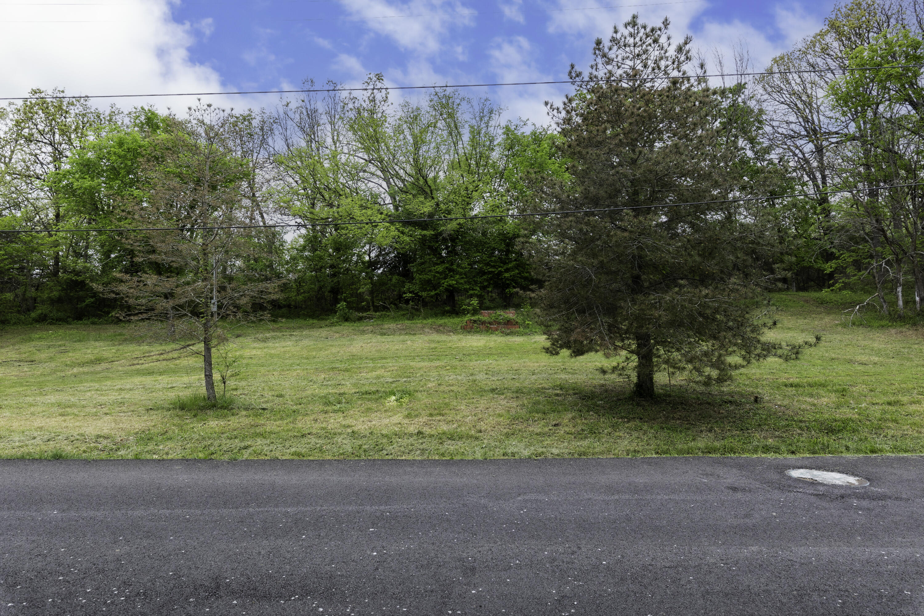 Land for sale – 217  Woodland   Buffalo, MO