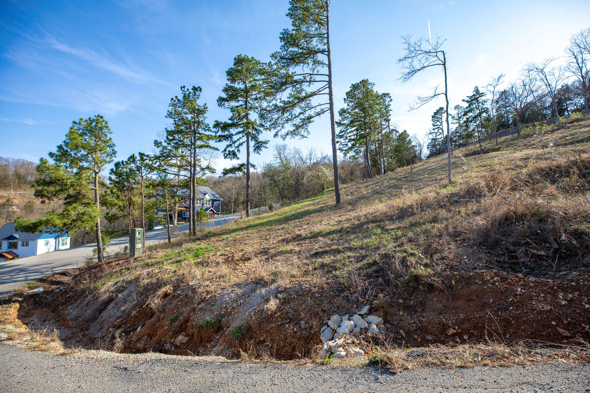 Photo 19 - Land for sale – Lot 4-A  Grizzly Ridge   Blue Eye, MO