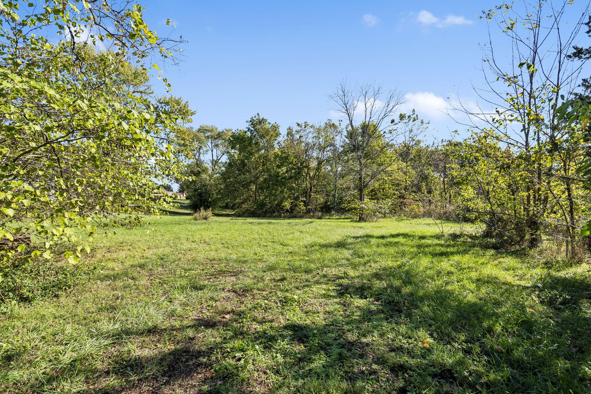 Photo 3 - Land for sale – 200  Highlandville Road  Highlandville, MO