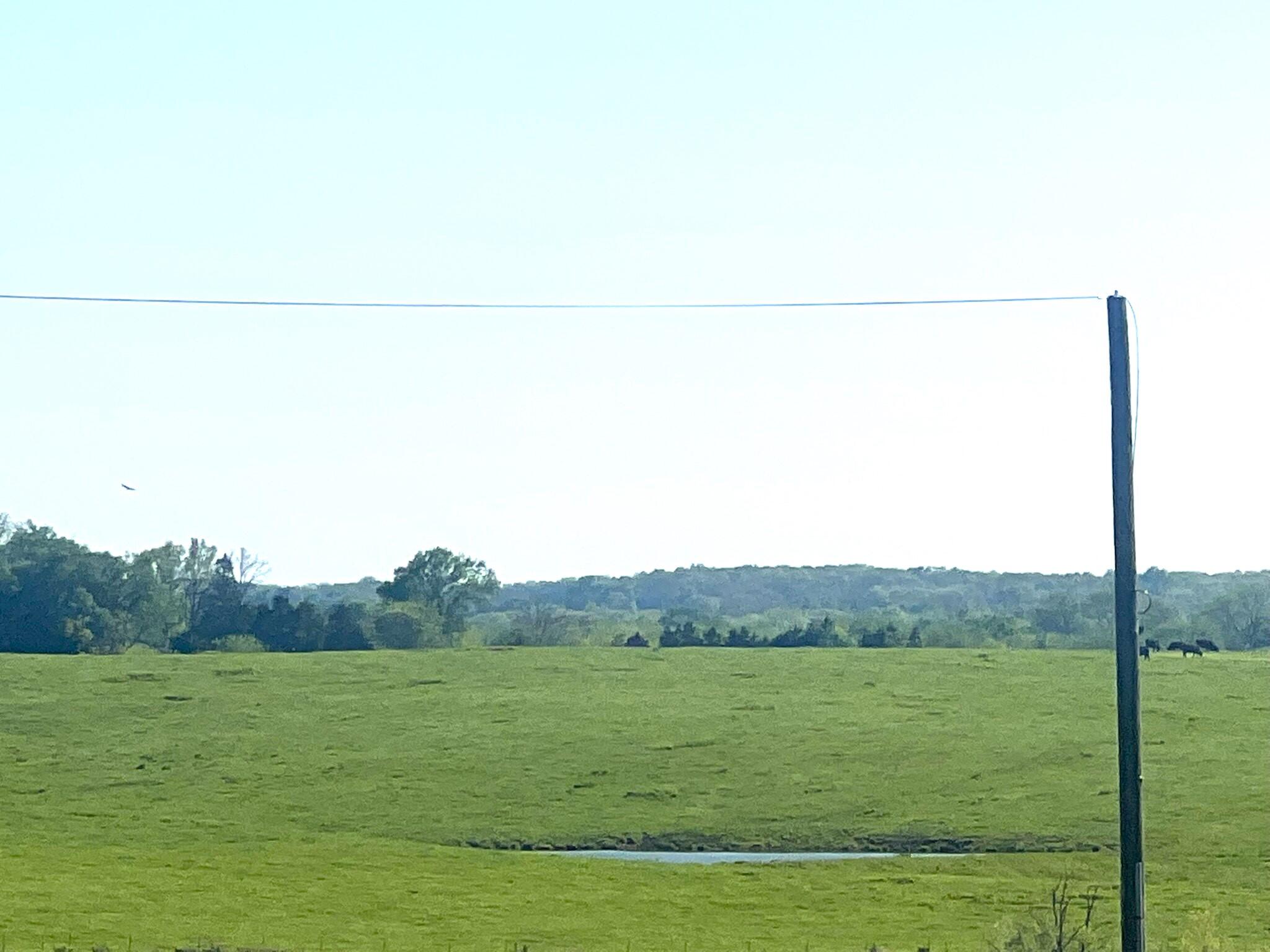 Land for sale – 000 State Highway 65 Preston, MO