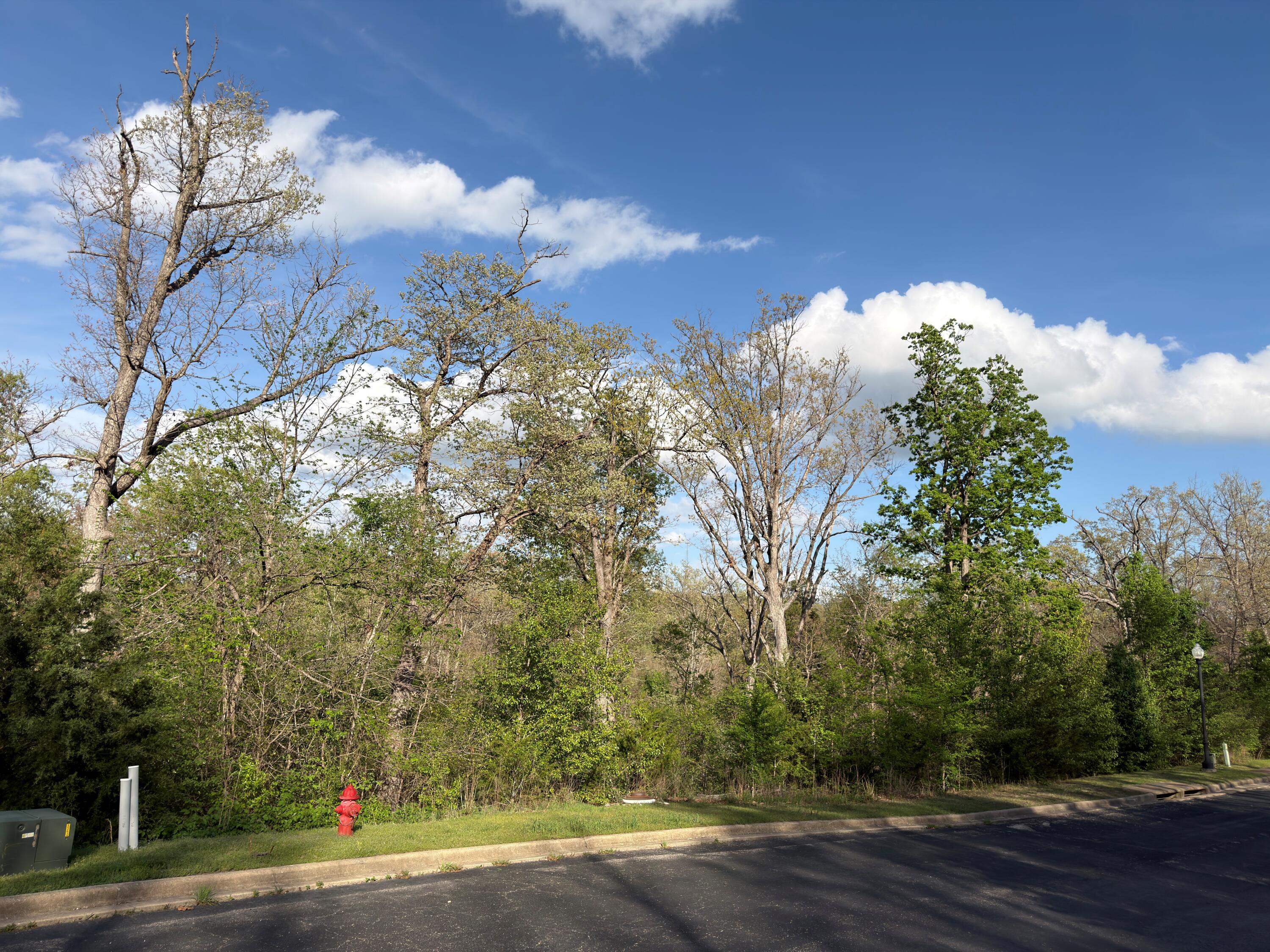 Photo 12 - Land for sale – 000  Pinehurst   Branson, MO