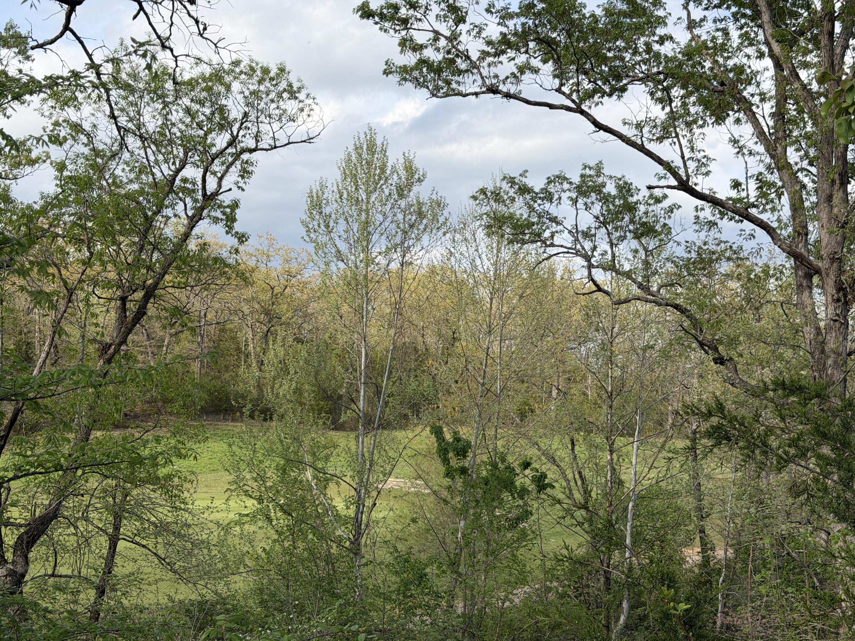 Photo 15 - Land for sale – 000  Pinehurst   Branson, MO