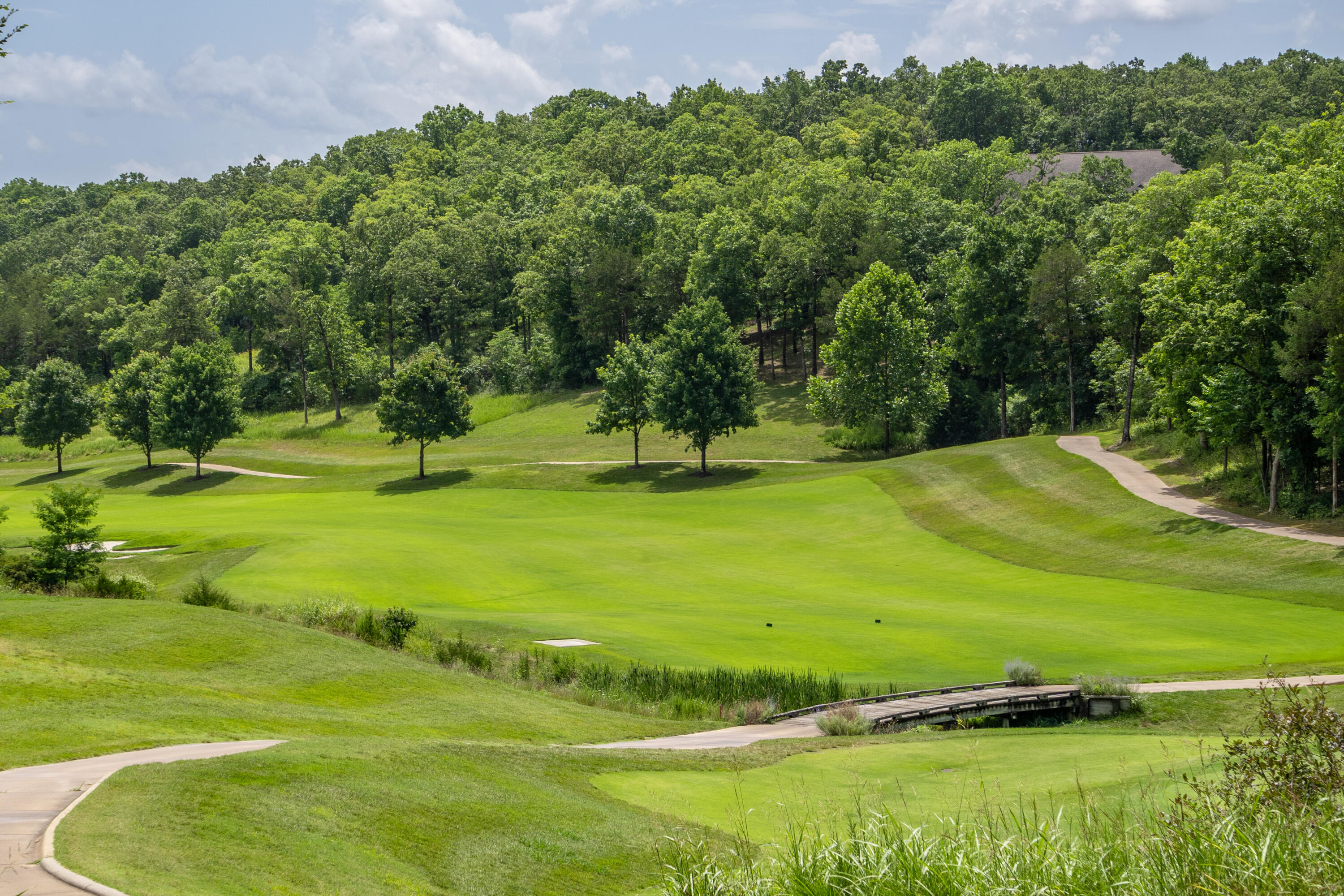 Photo 35 - Land for sale – 000  Pinehurst   Branson, MO