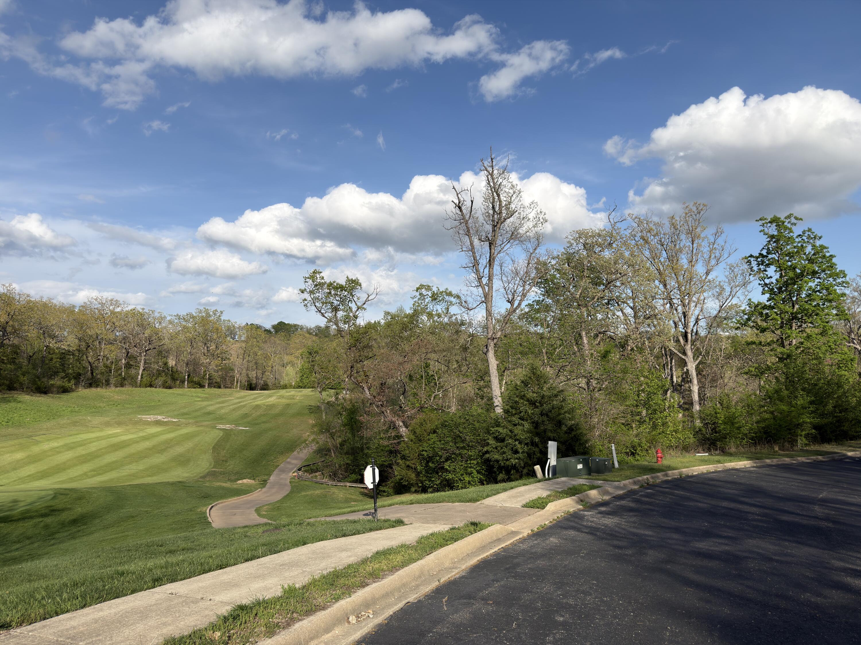 Photo 11 - Land for sale – 000  Pinehurst   Branson, MO