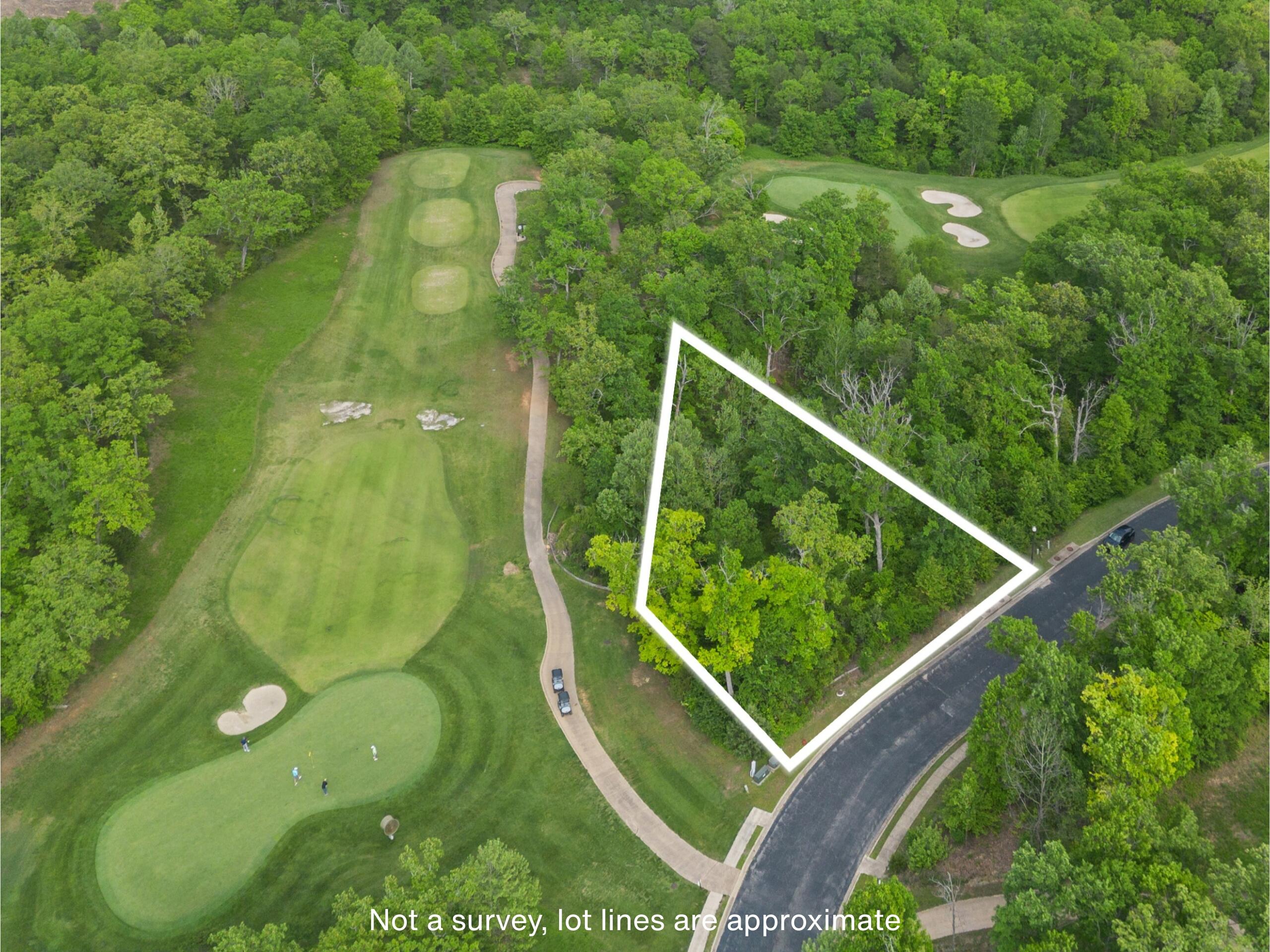 Photo 3 - Land for sale – 000  Pinehurst   Branson, MO