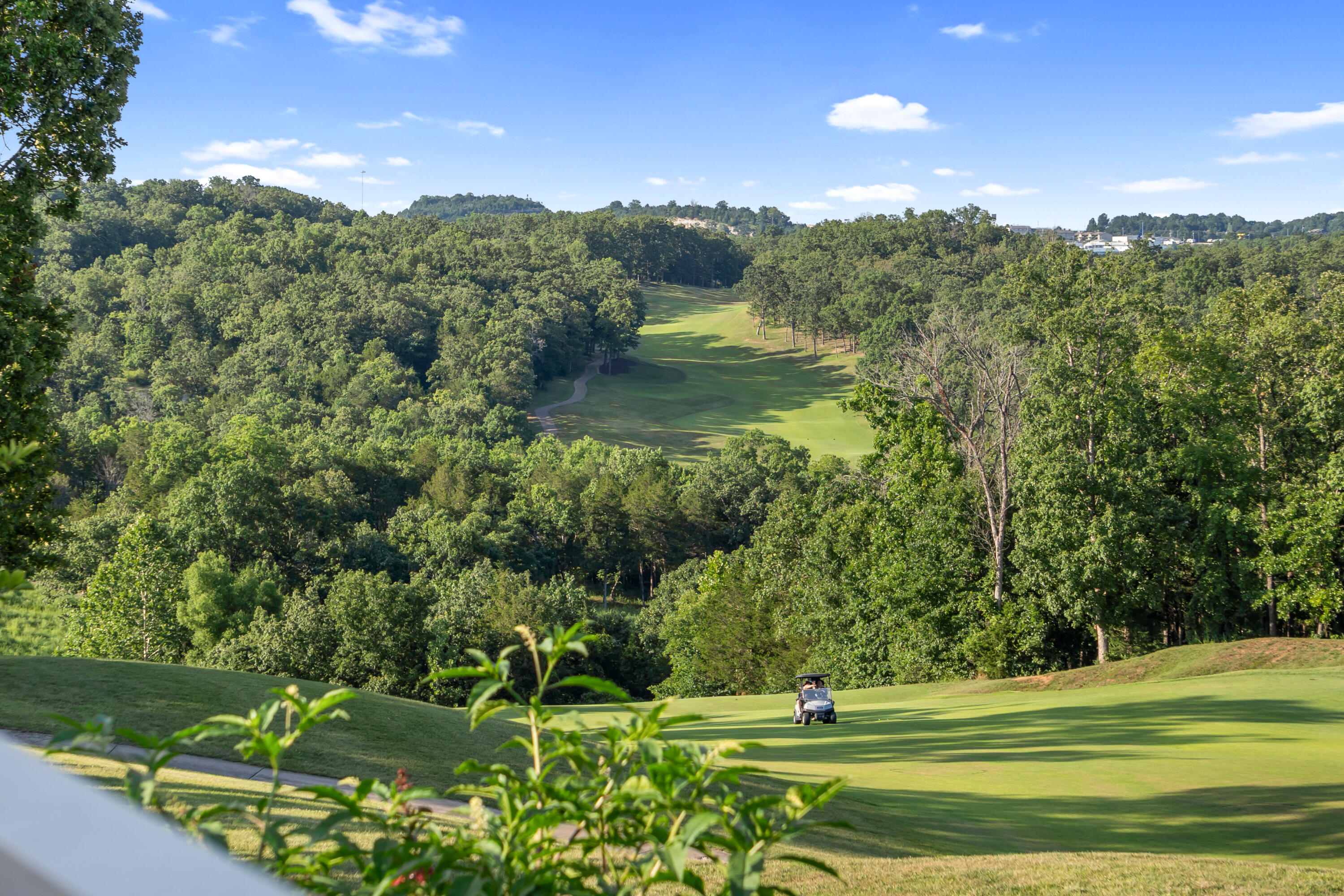 Photo 16 - Land for sale – 000  Pinehurst   Branson, MO