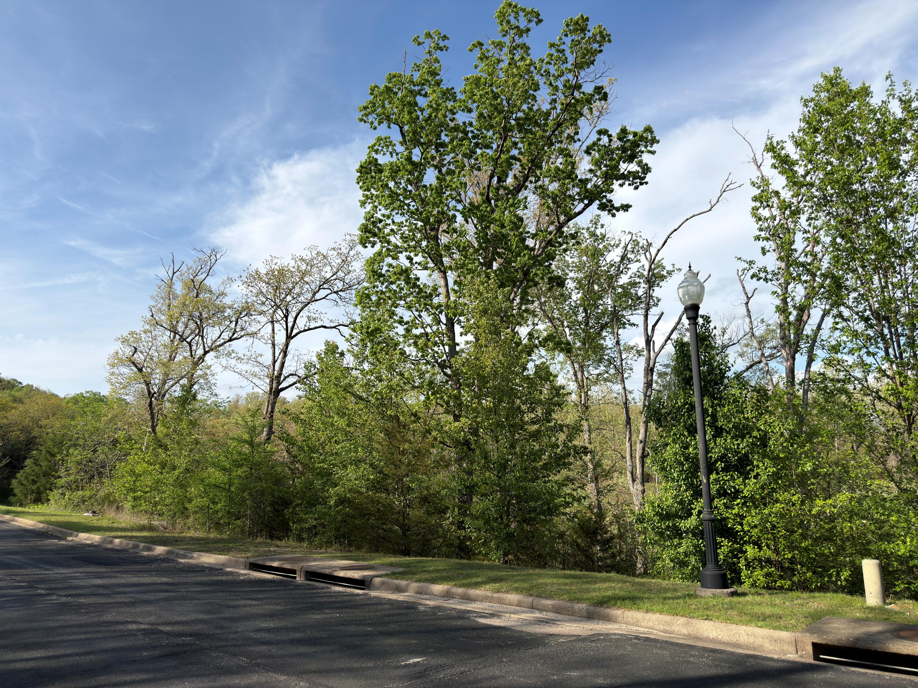 Photo 6 - Land for sale – 000  Pinehurst   Branson, MO