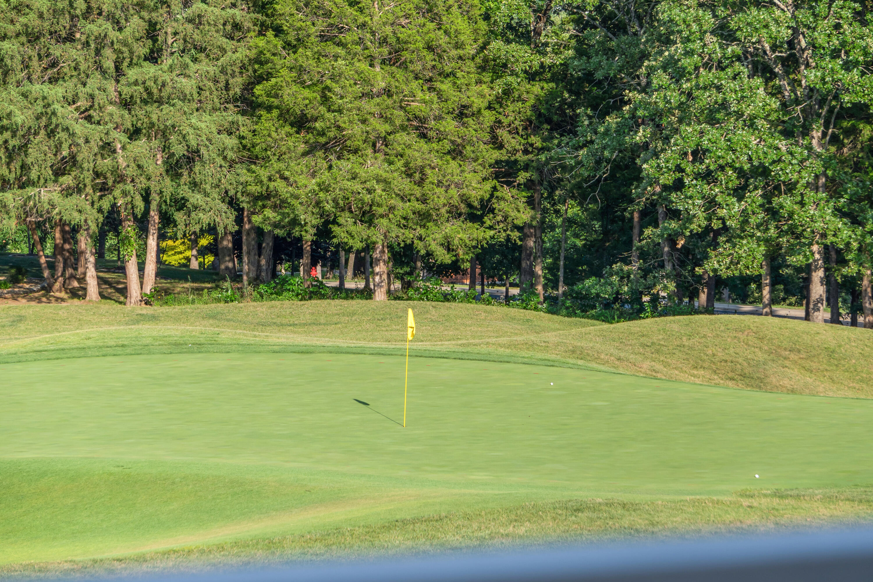 Photo 29 - Land for sale – 000  Pinehurst   Branson, MO