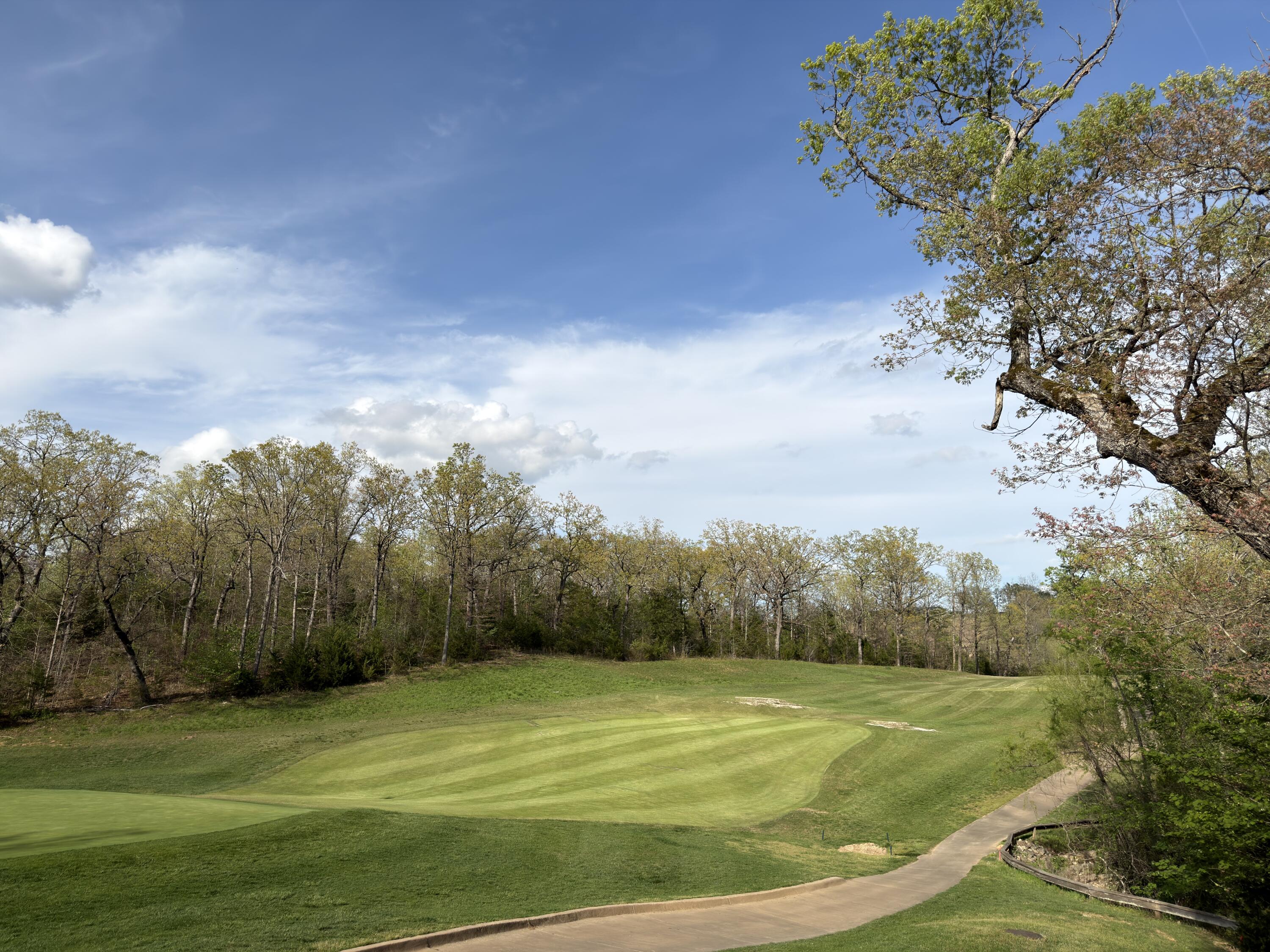 Photo 8 - Land for sale – 000  Pinehurst   Branson, MO